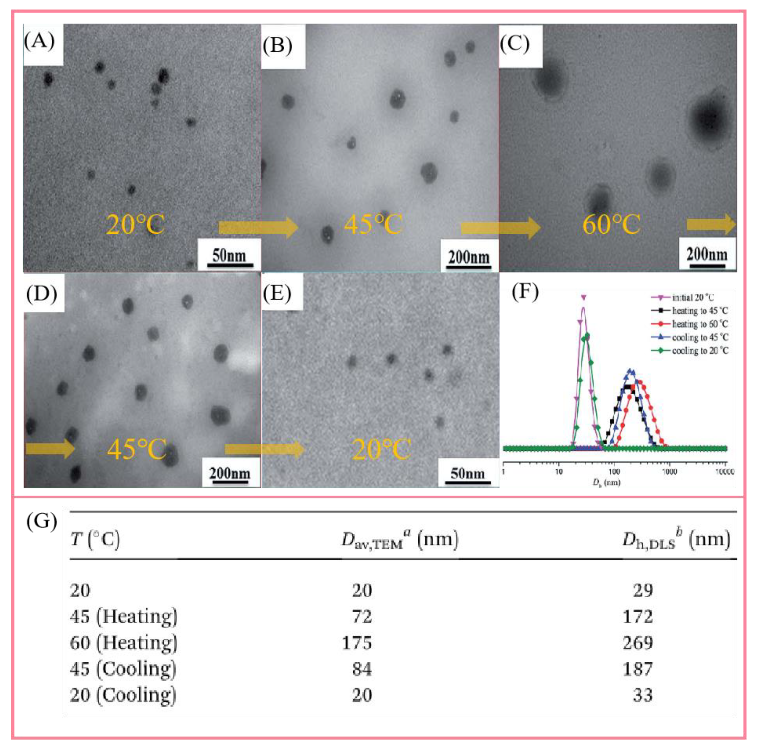 Polymers 14 04405 g007 Polymers 14 04405 g007