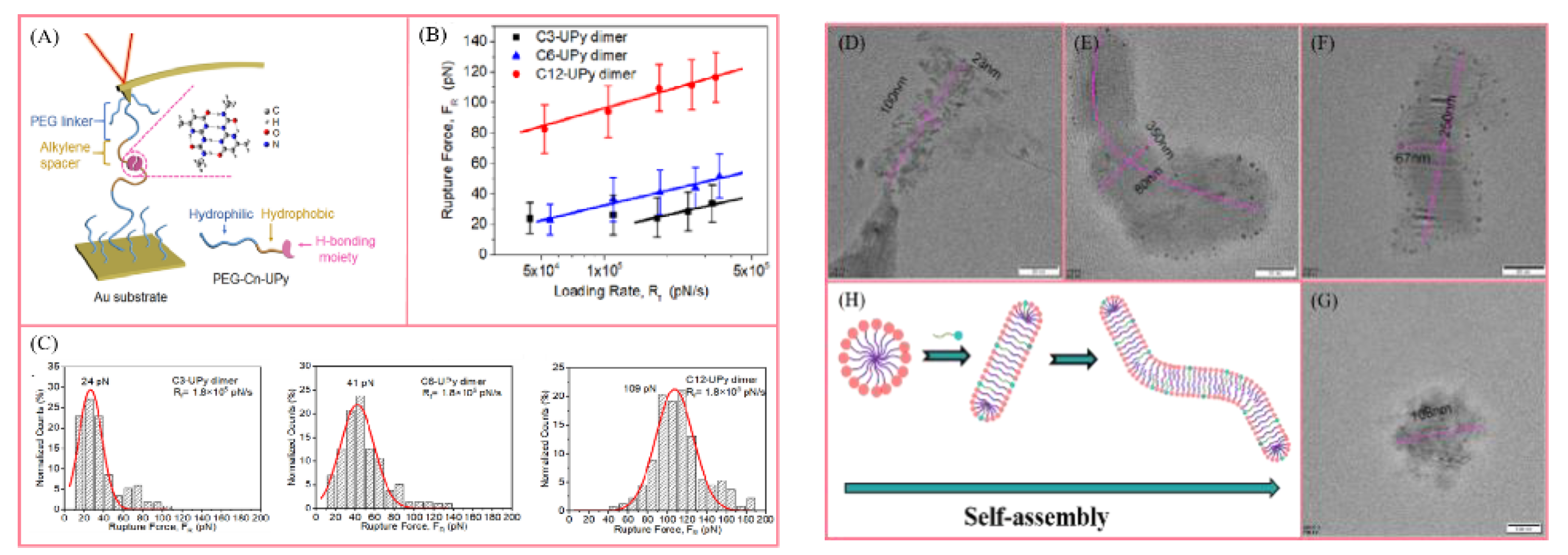 Polymers 14 04405 g008 Polymers 14 04405 g008