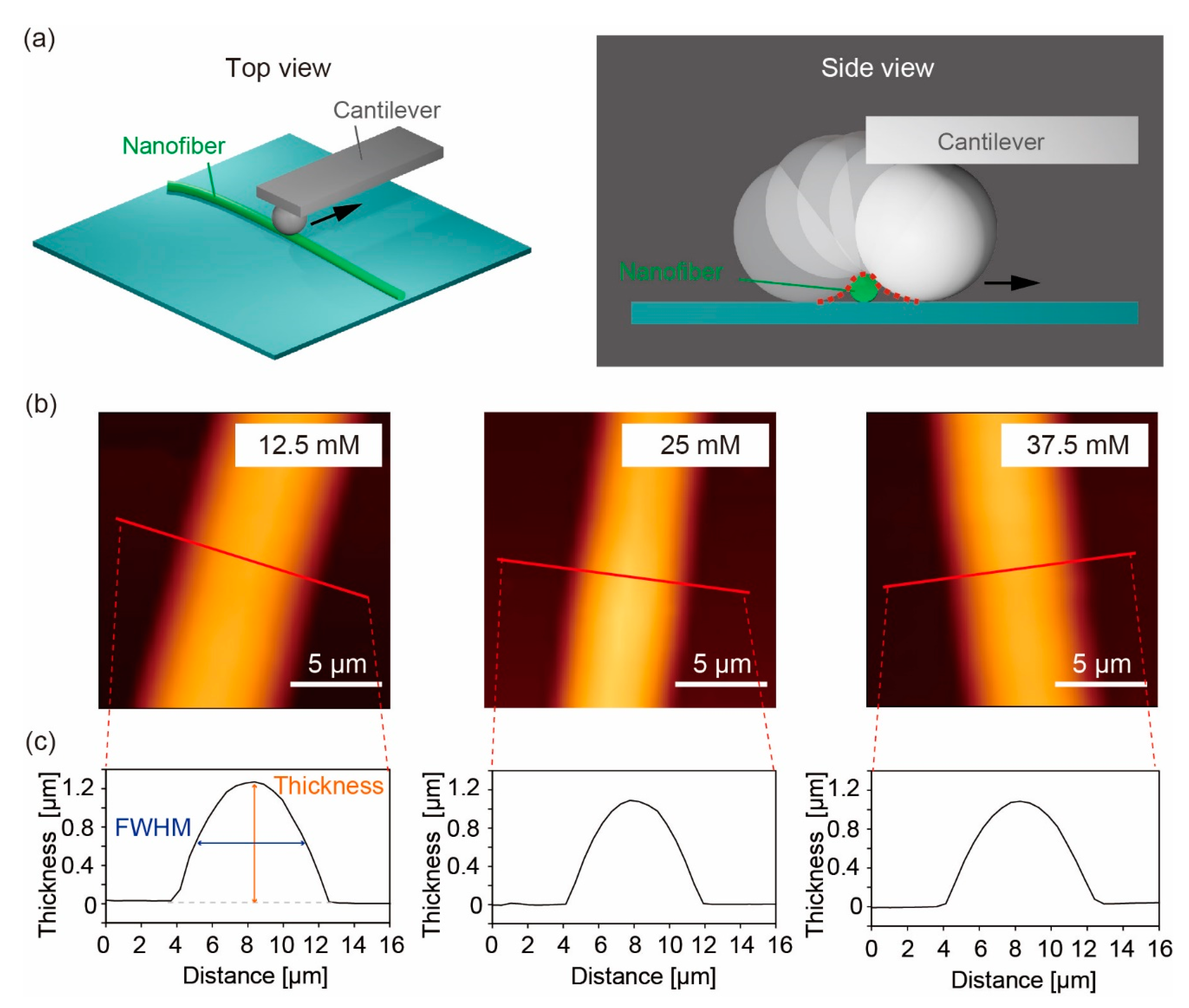Polymers 14 04407 g004 Polymers 14 04407 g004