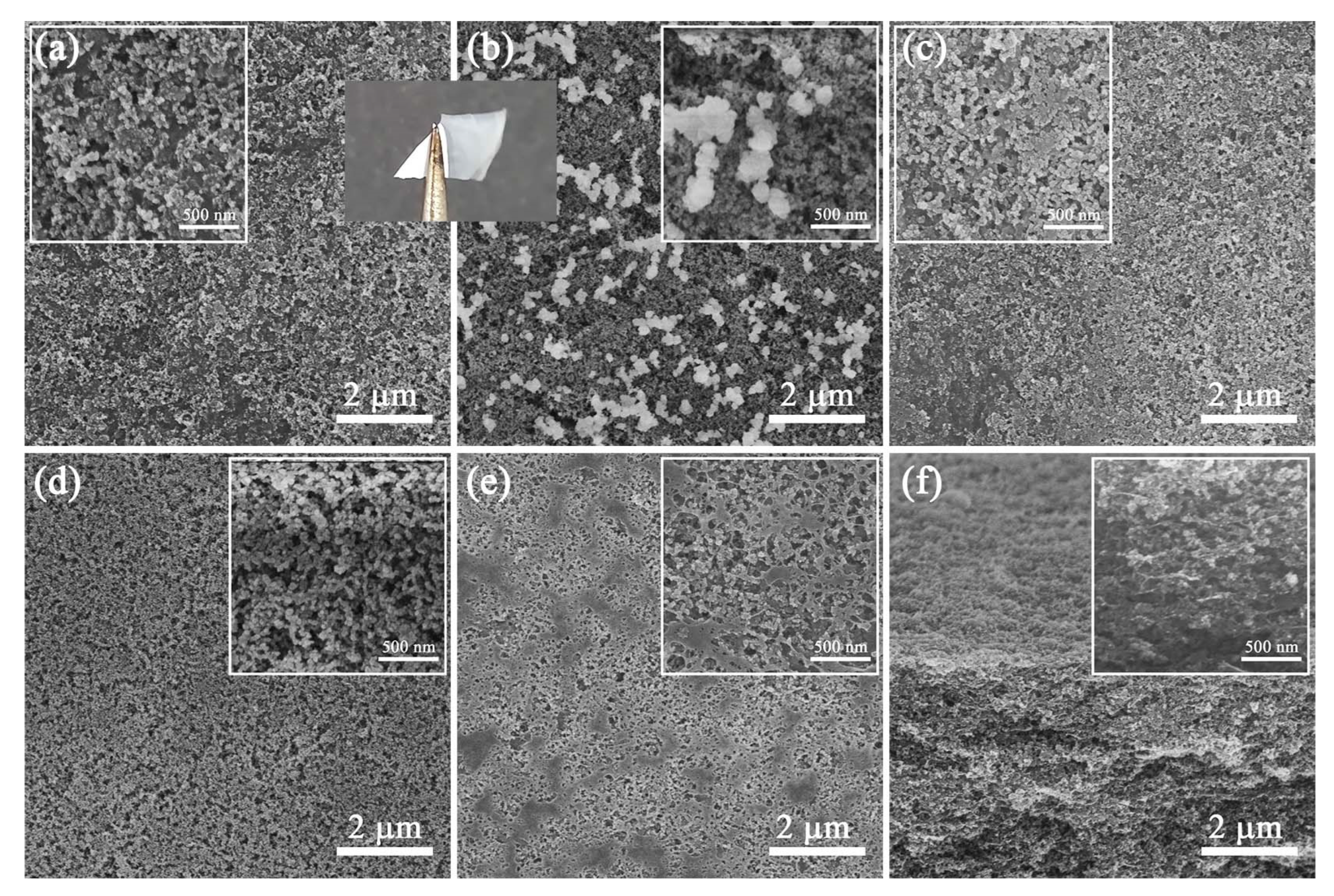 Polymers 14 04413 g004 550