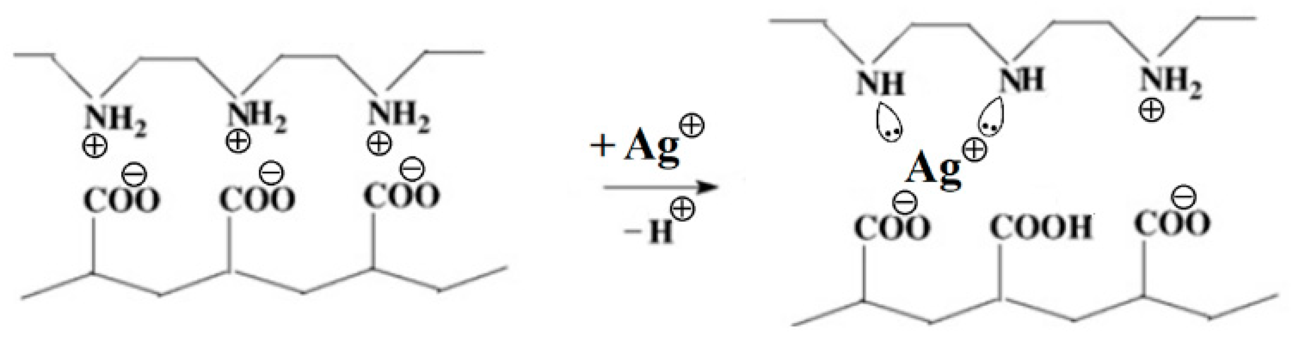 Polymers 14 04417 sch002 Polymers 14 04417 sch002