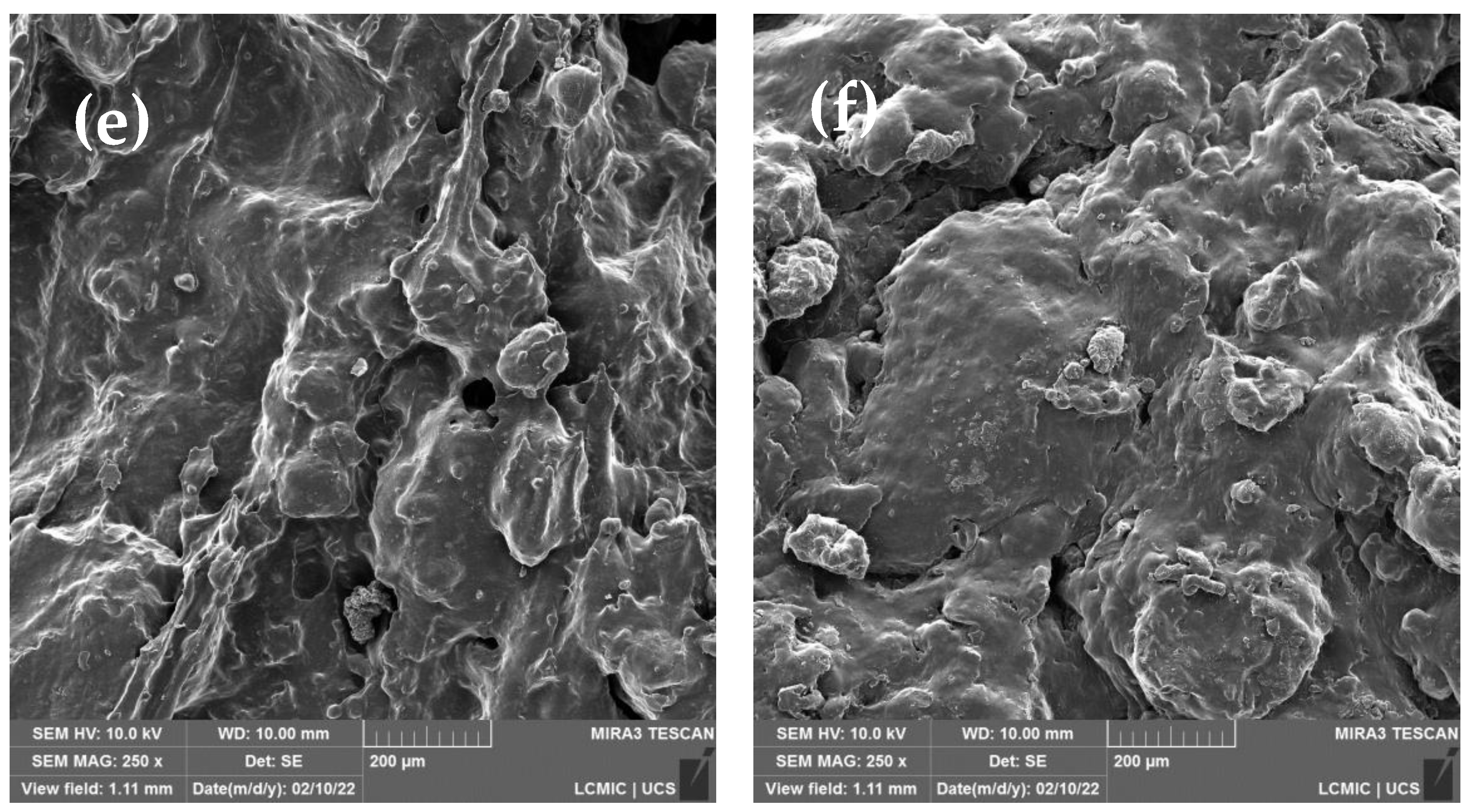 Polymers 14 04419 g006b