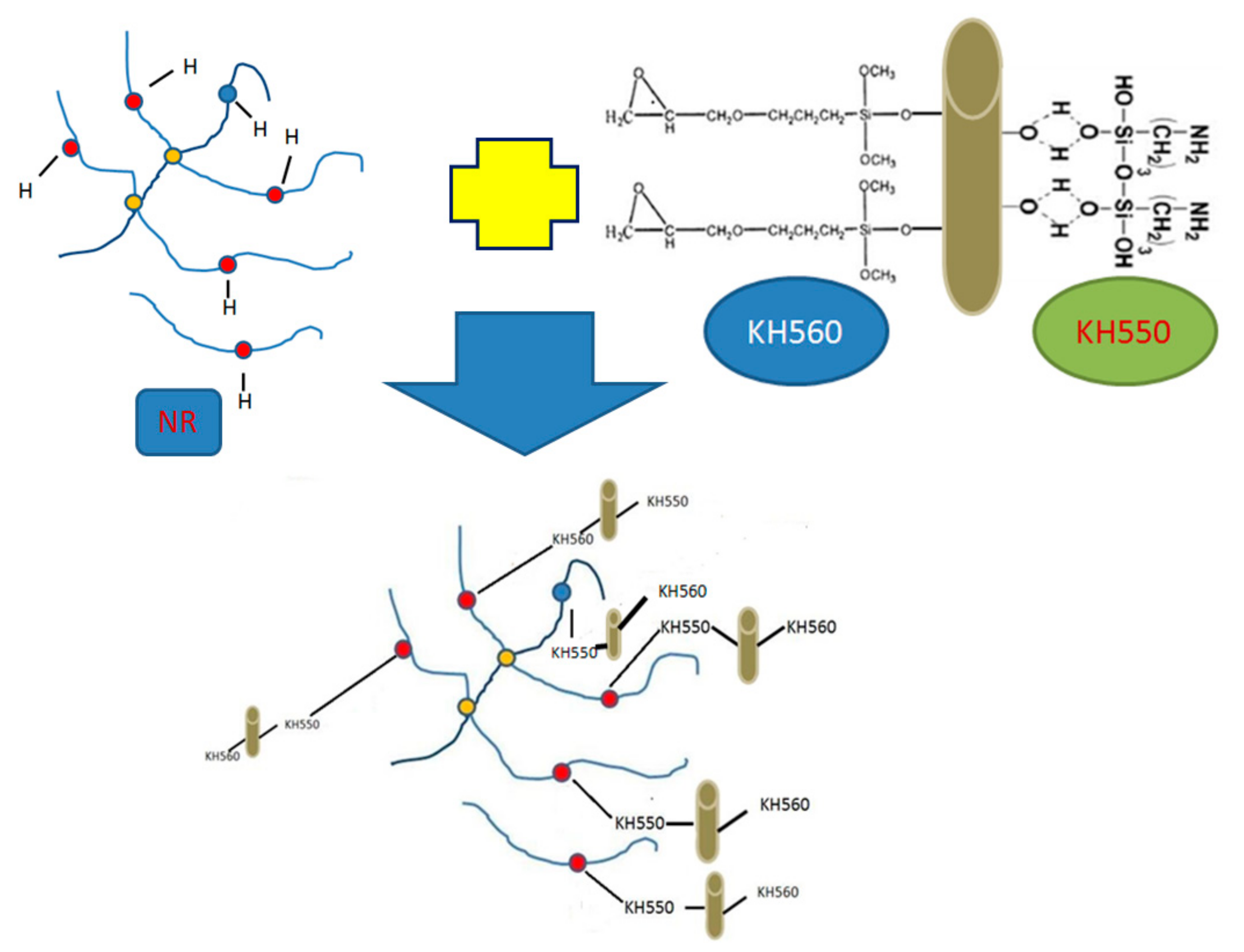 Polymers 14 04422 g011 Polymers 14 04422 g011