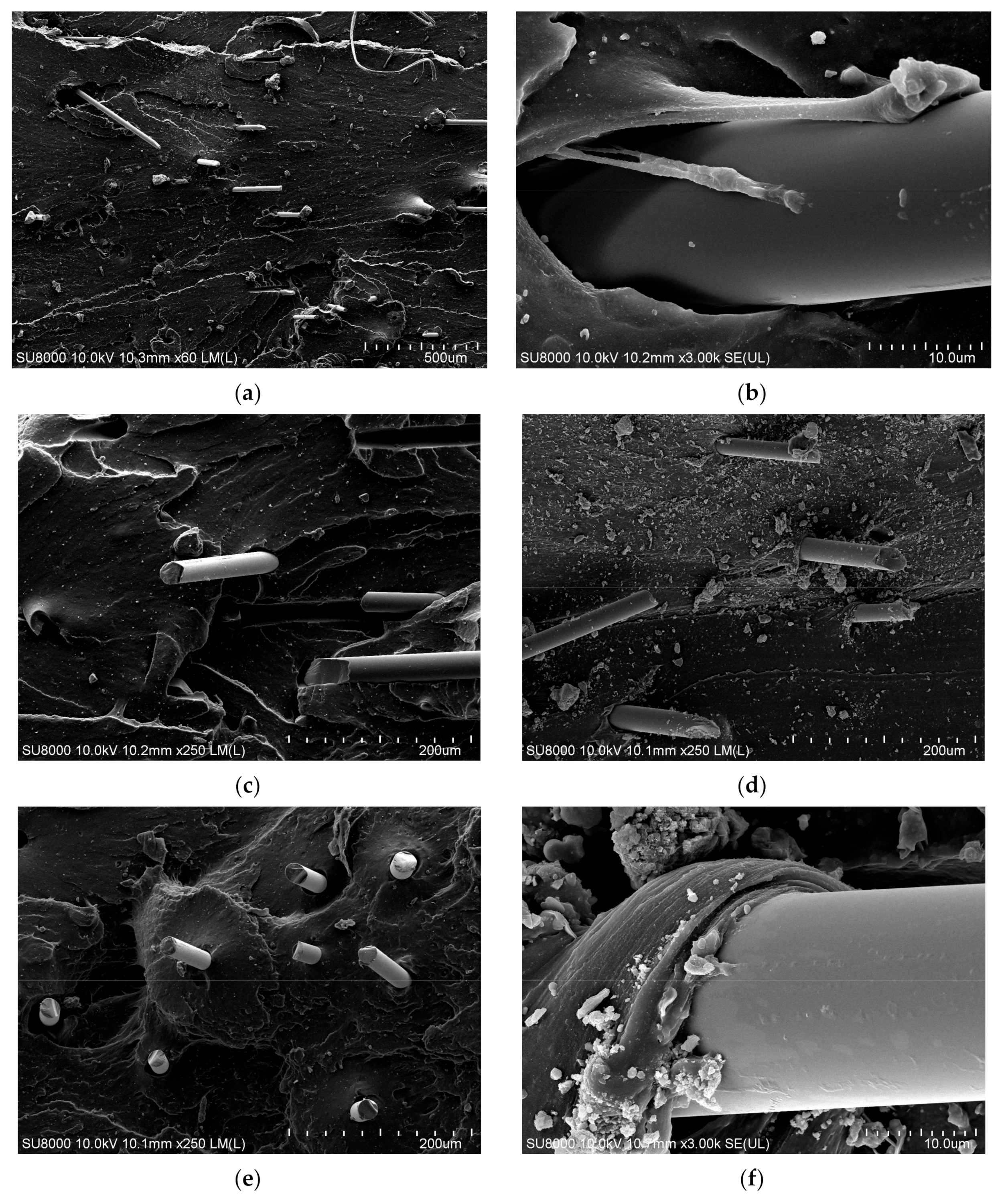 Polymers 14 04422 g012a Polymers 14 04422 g012a