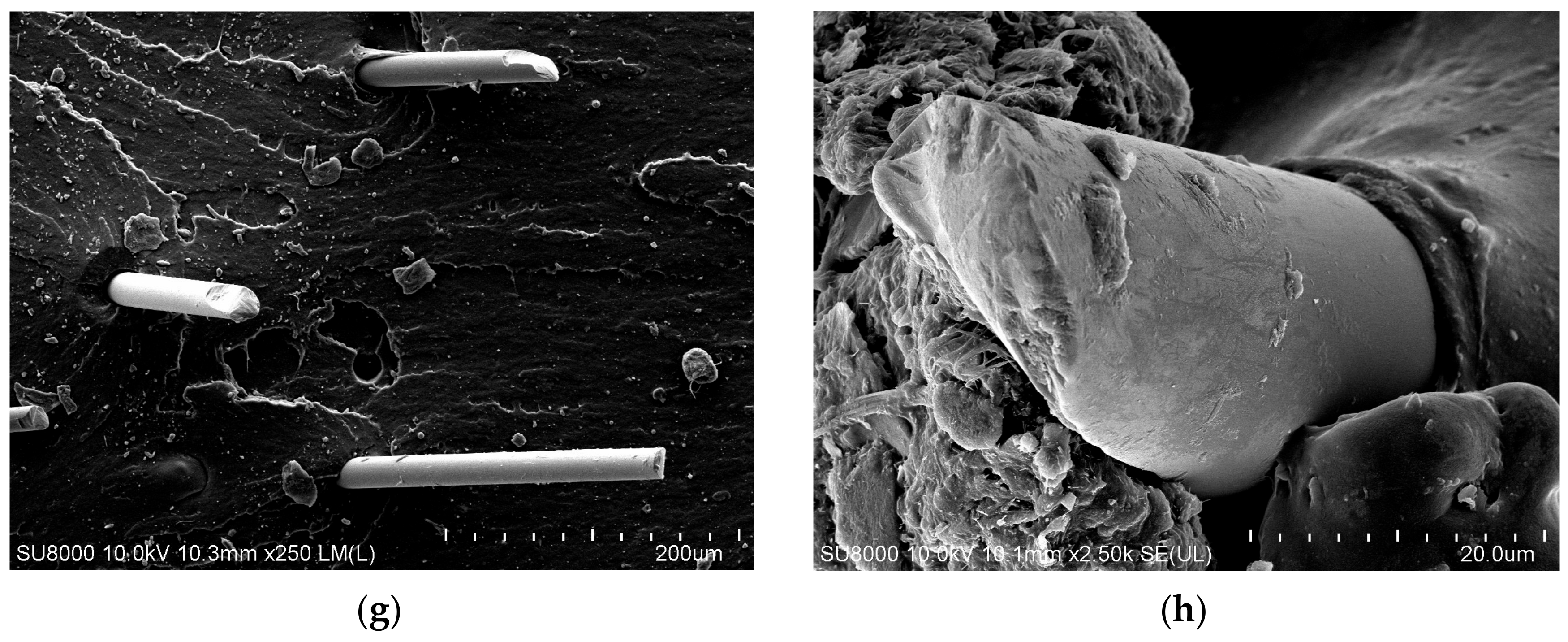 Polymers 14 04422 g012b Polymers 14 04422 g012b