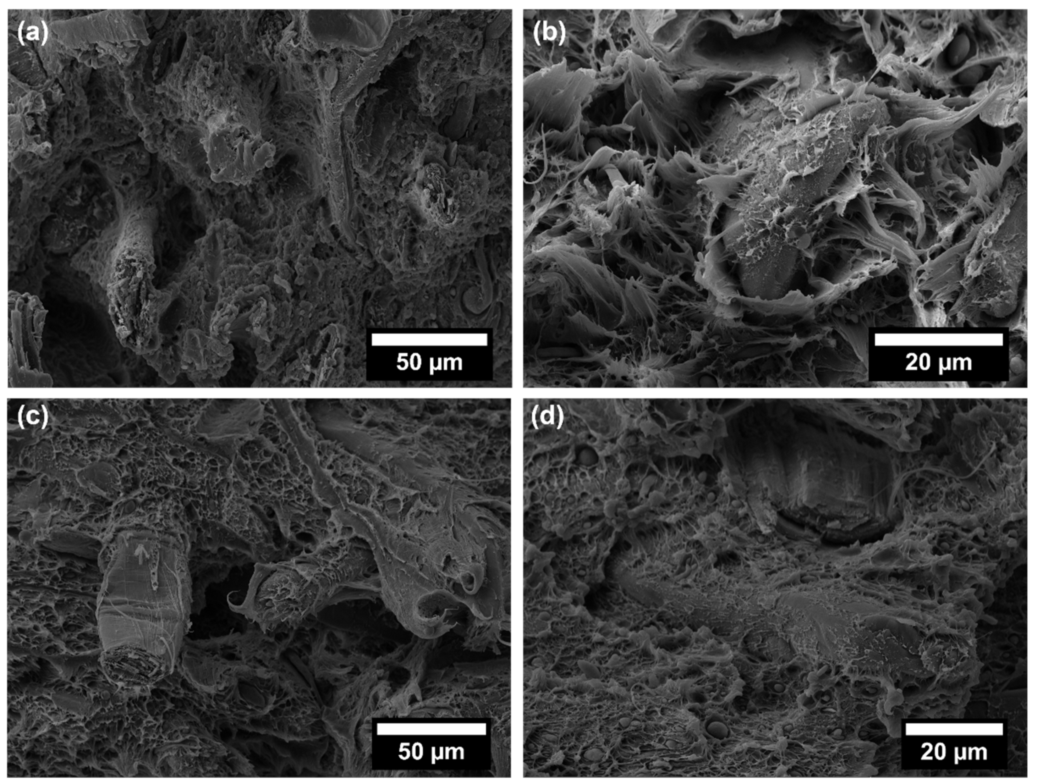 Polymers 14 04423 g007