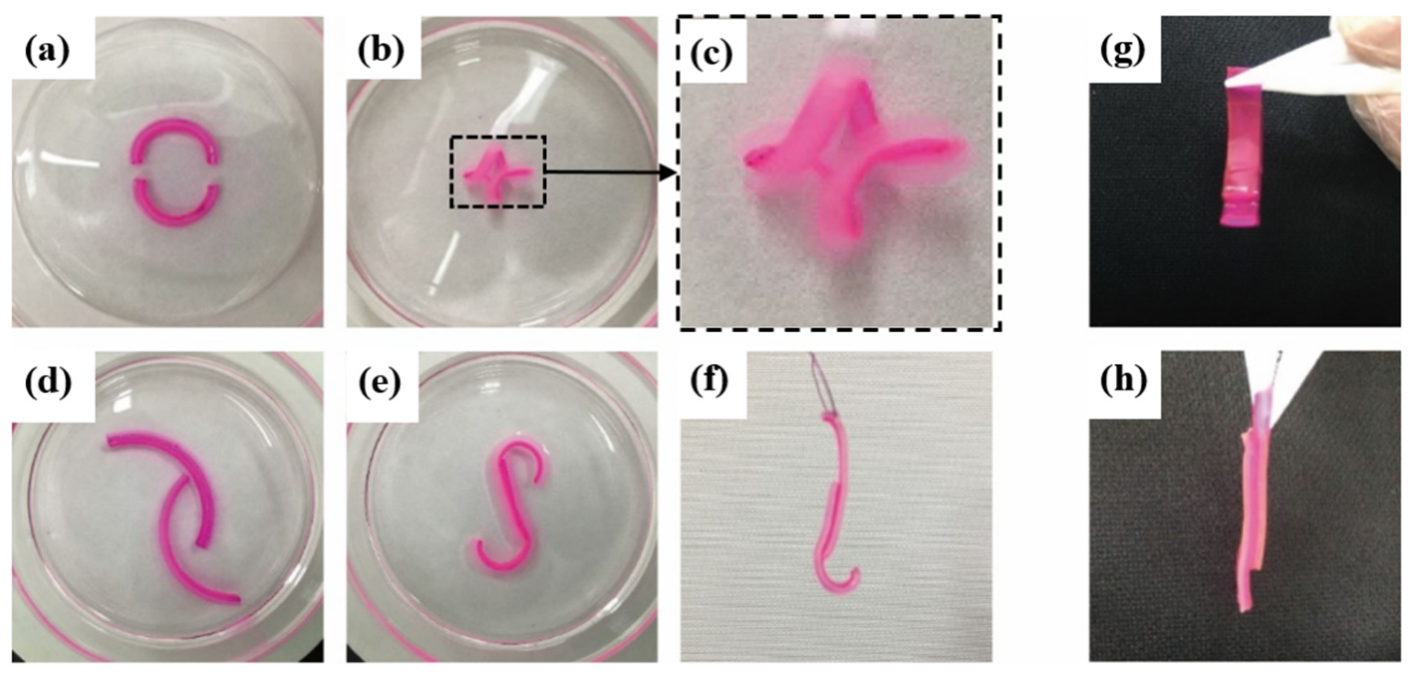 Polymers 14 04425 g007