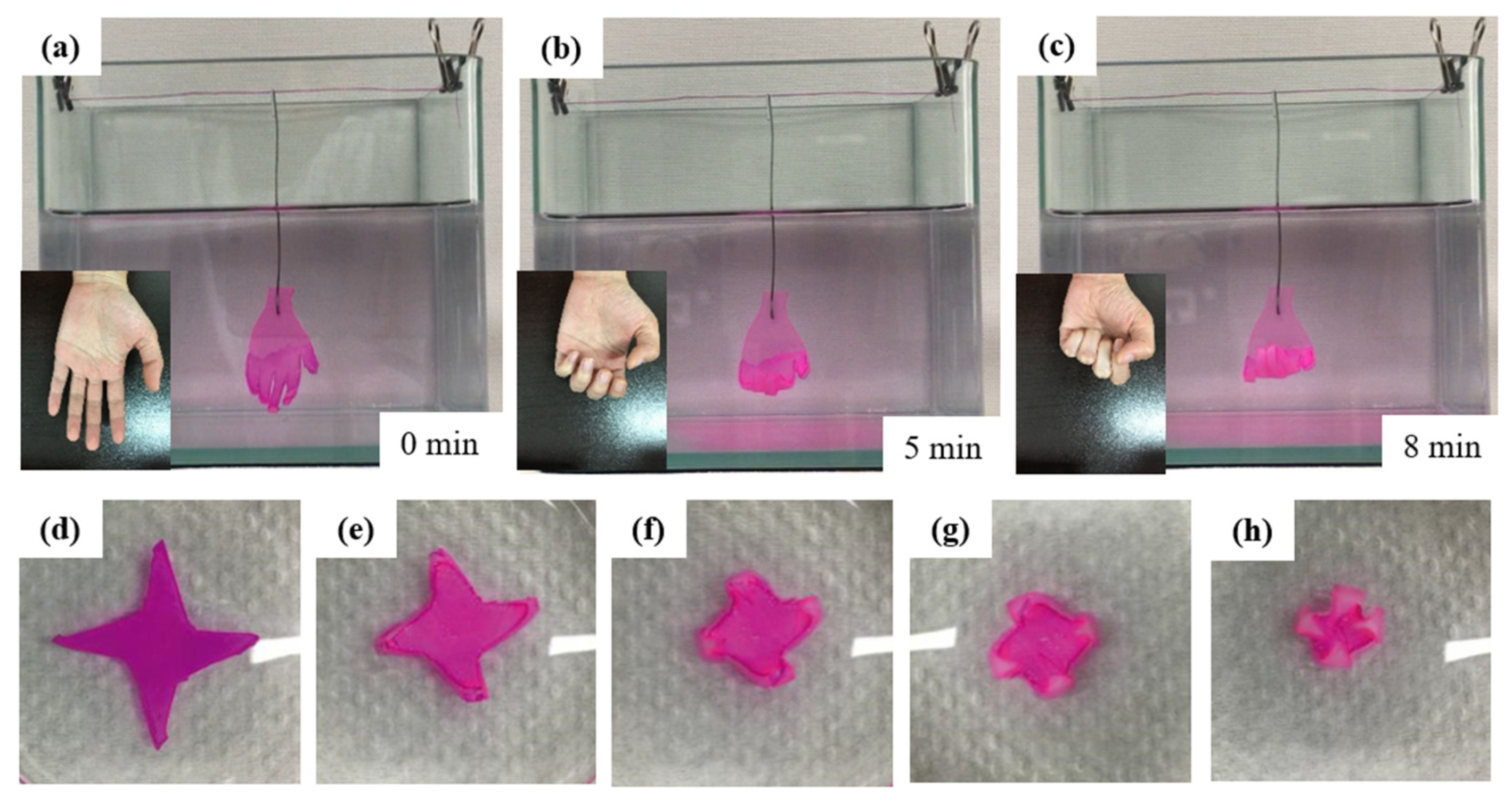 Polymers 14 04425 g011