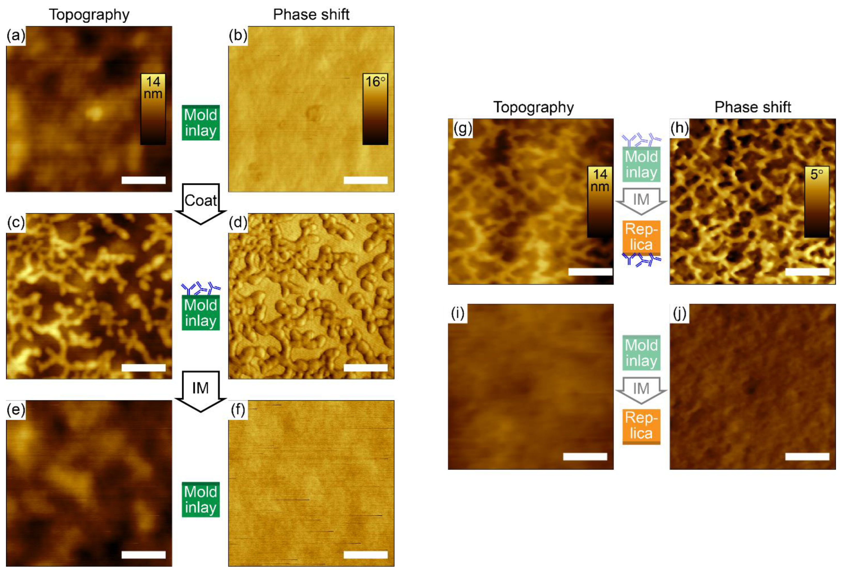 Polymers 14 04426 g001 Polymers 14 04426 g001