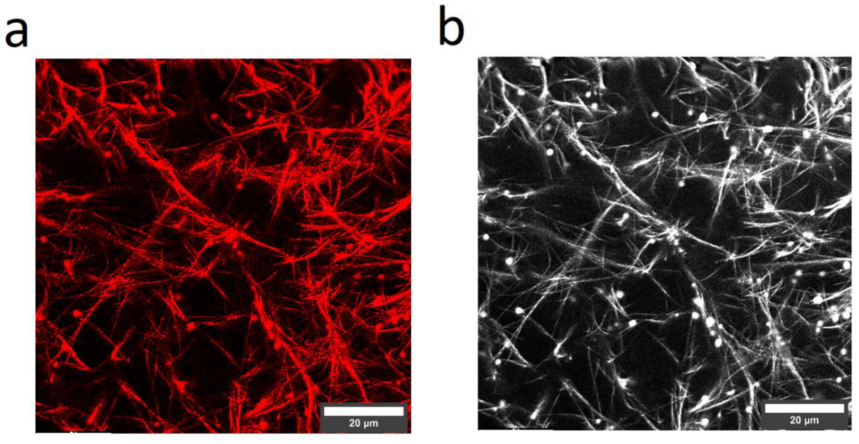 Polymers 14 04434 g005 Polymers 14 04434 g005