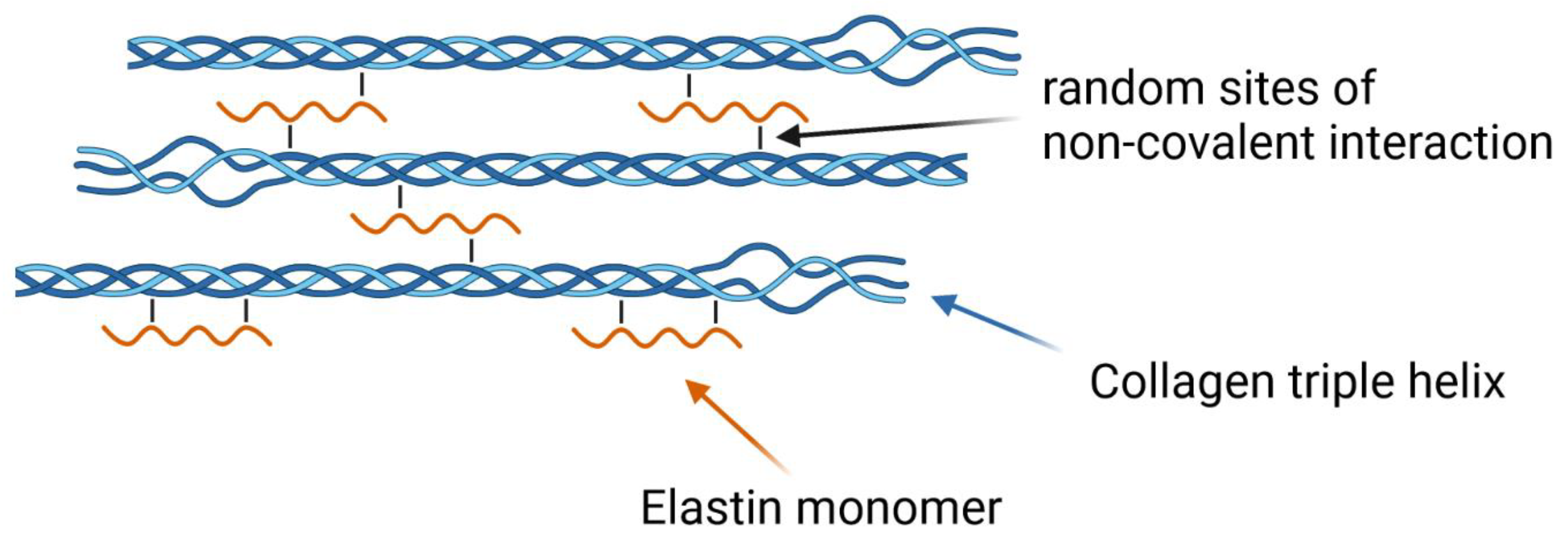 Polymers 14 04434 g008 Polymers 14 04434 g008