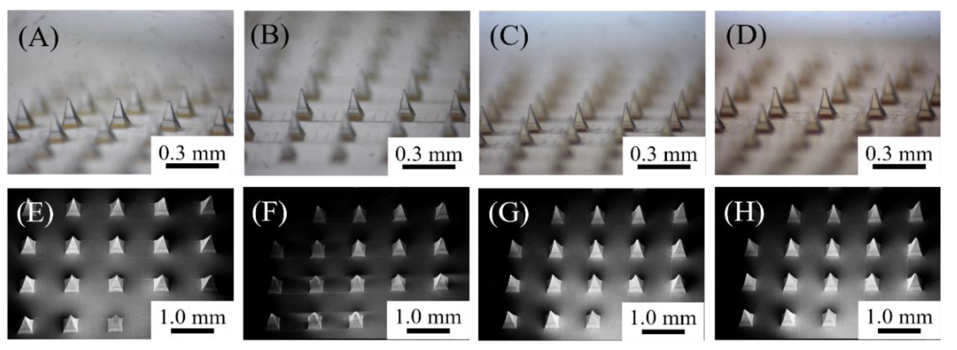 Polymers 14 04436 g003 Polymers 14 04436 g003