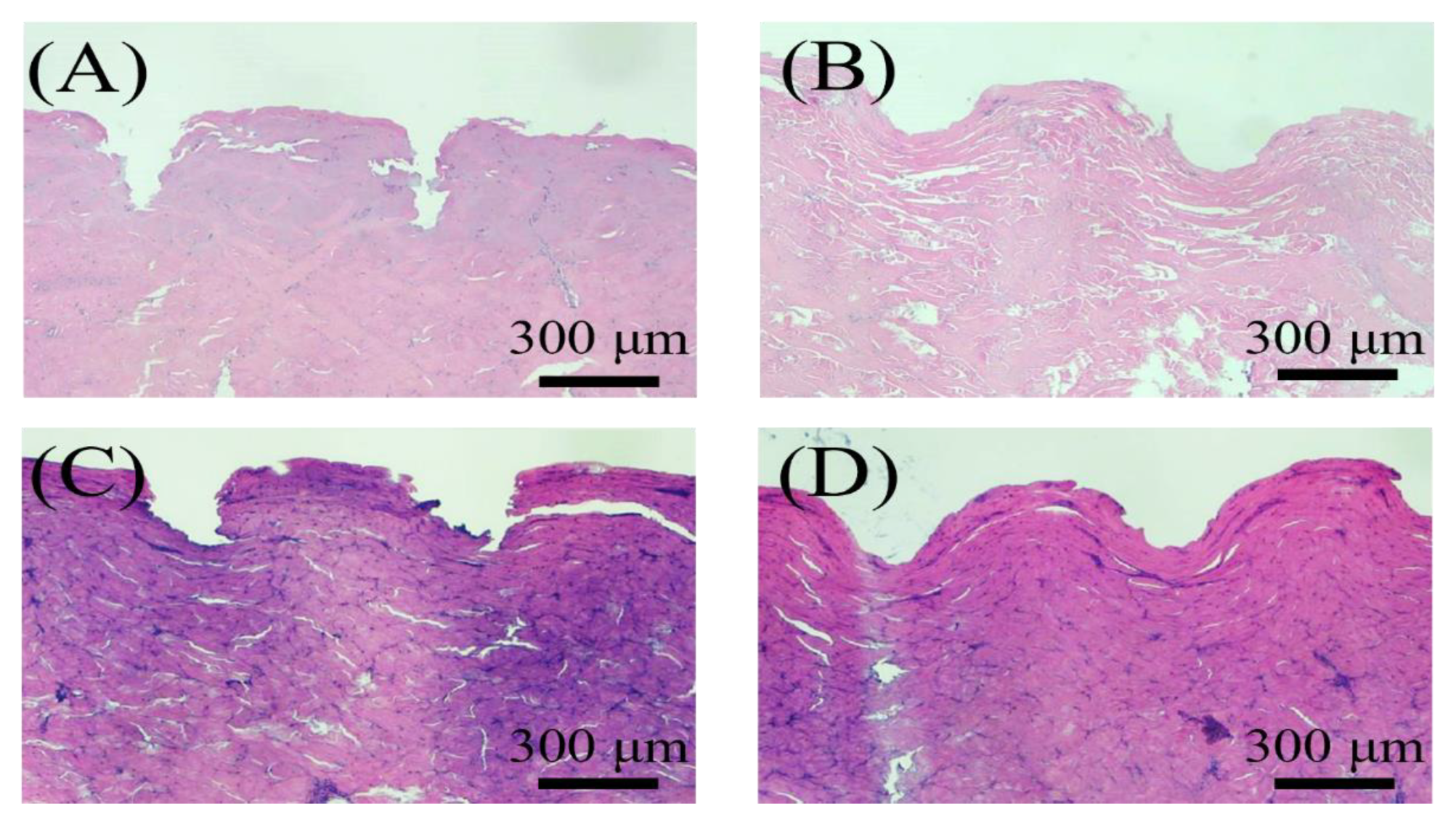 Polymers 14 04436 g005 Polymers 14 04436 g005