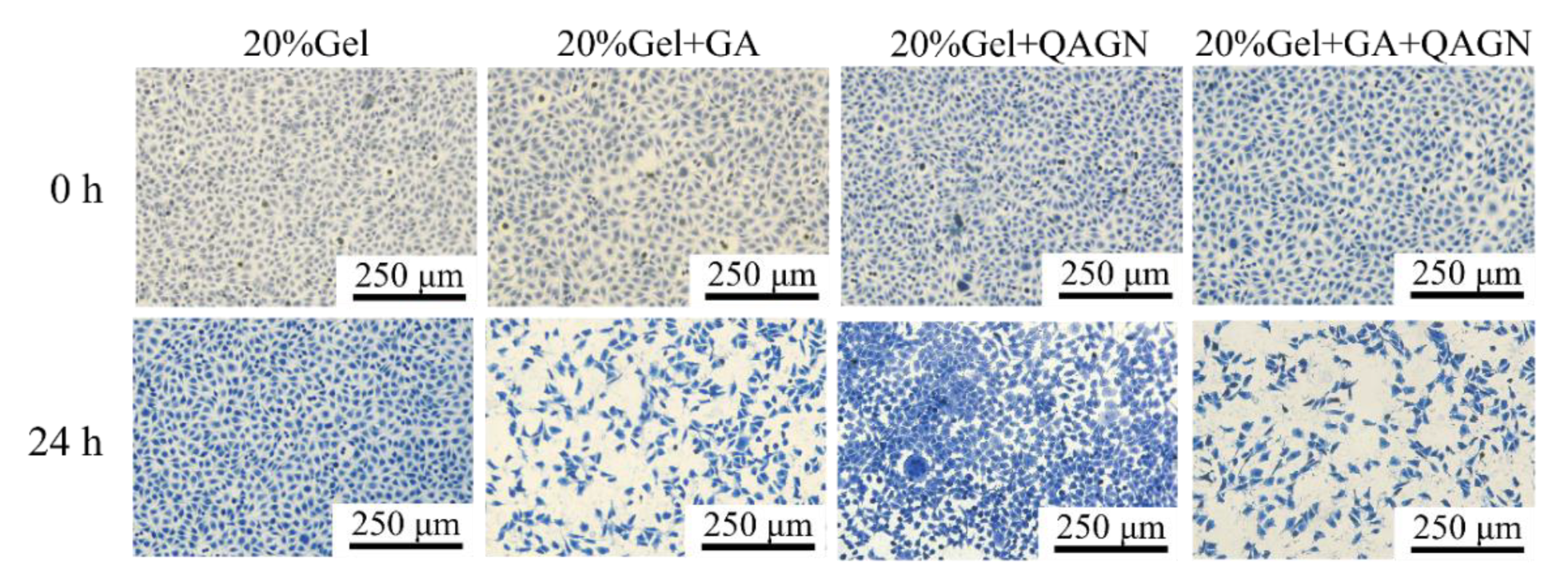 Polymers 14 04436 g008 Polymers 14 04436 g008