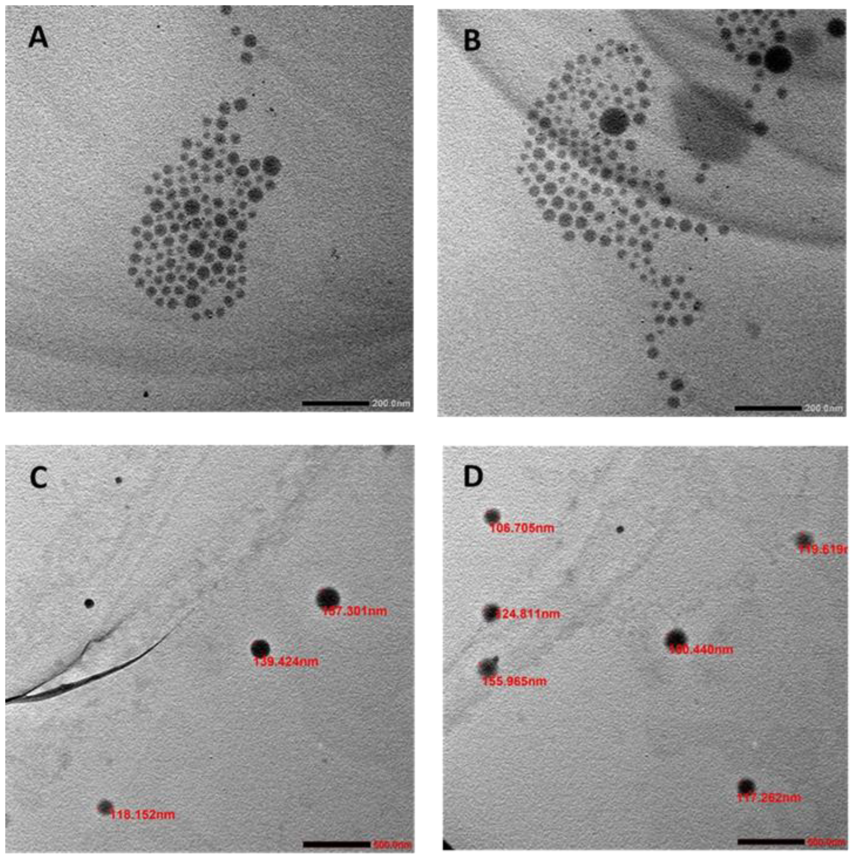 Polymers 14 04444 g001