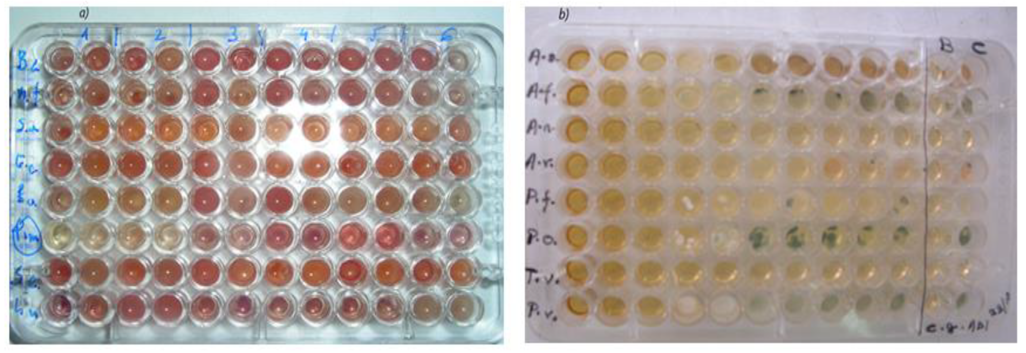 Polymers 14 04446 g008