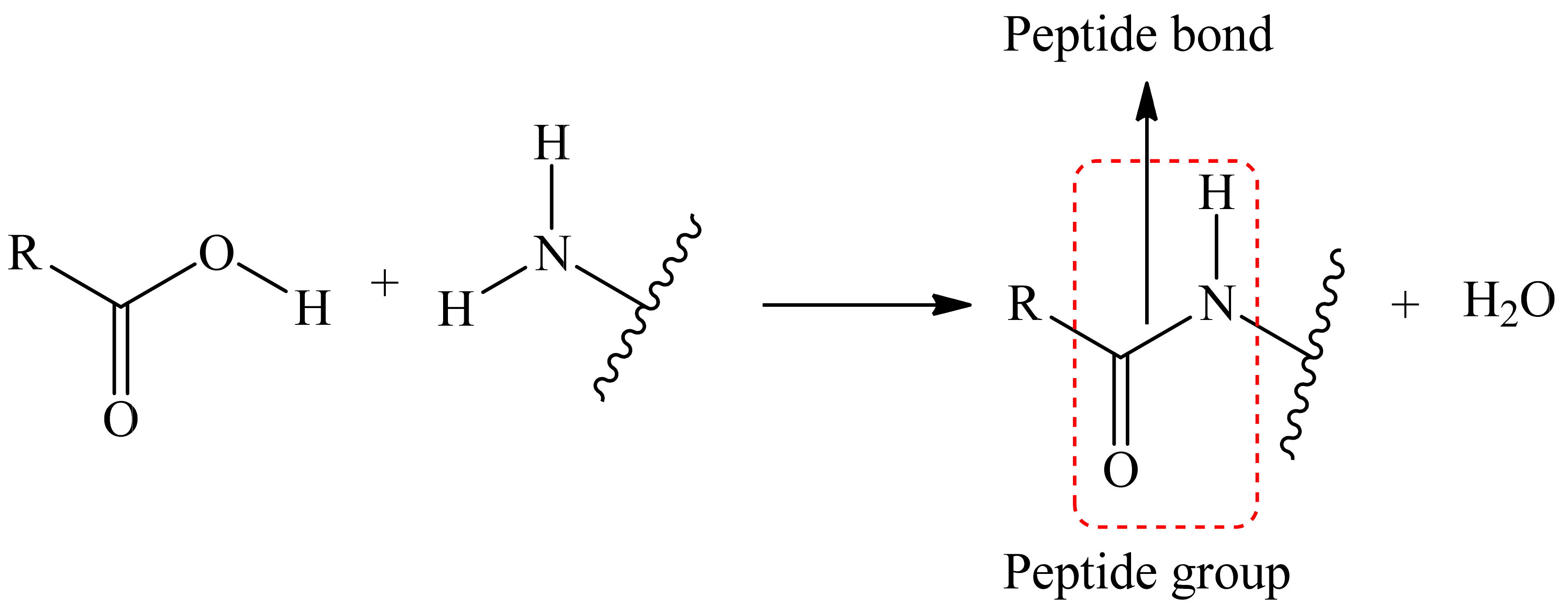 Polymers 14 04448 g003