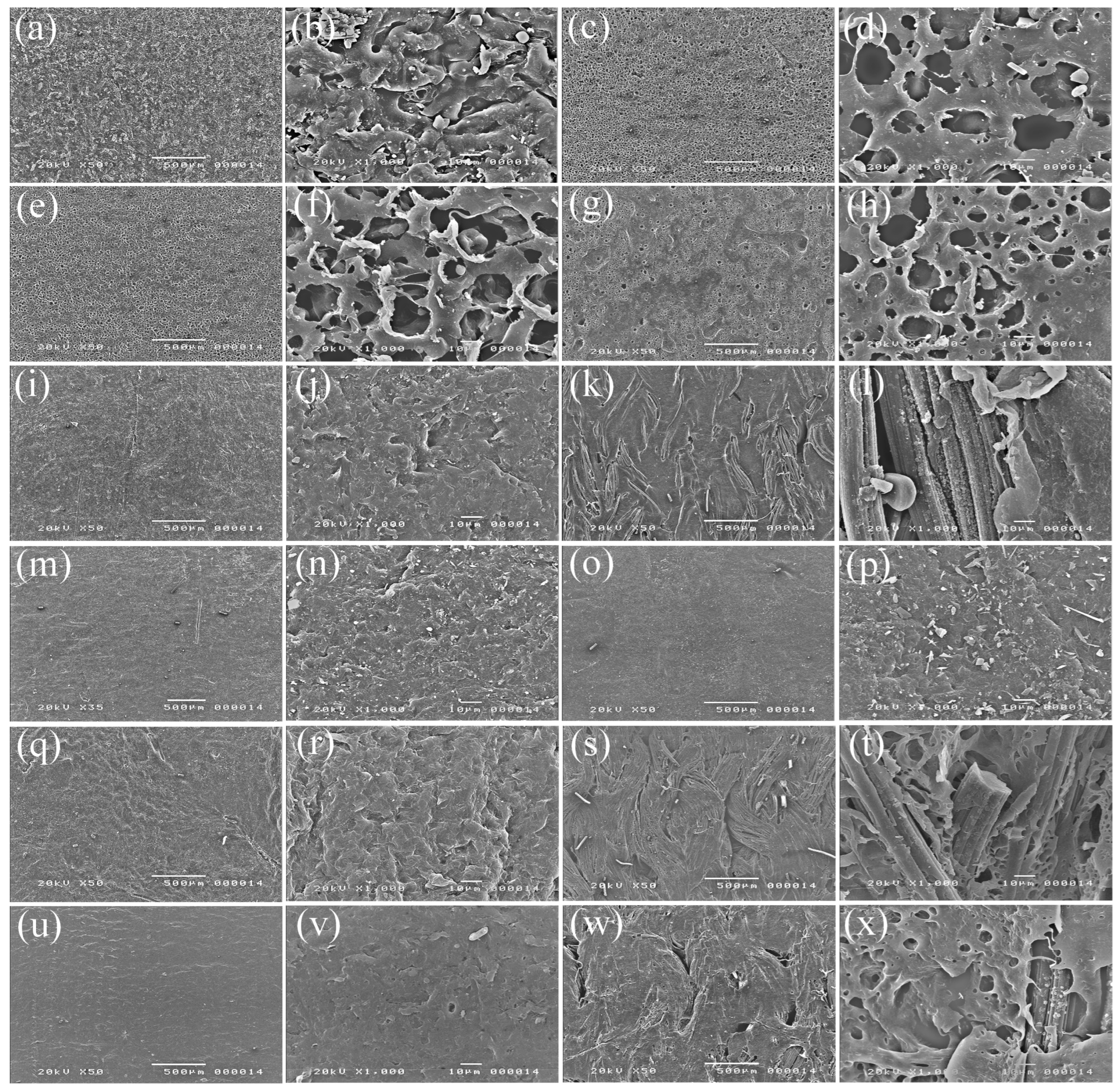 Polymers 14 04449 g001 Polymers 14 04449 g001