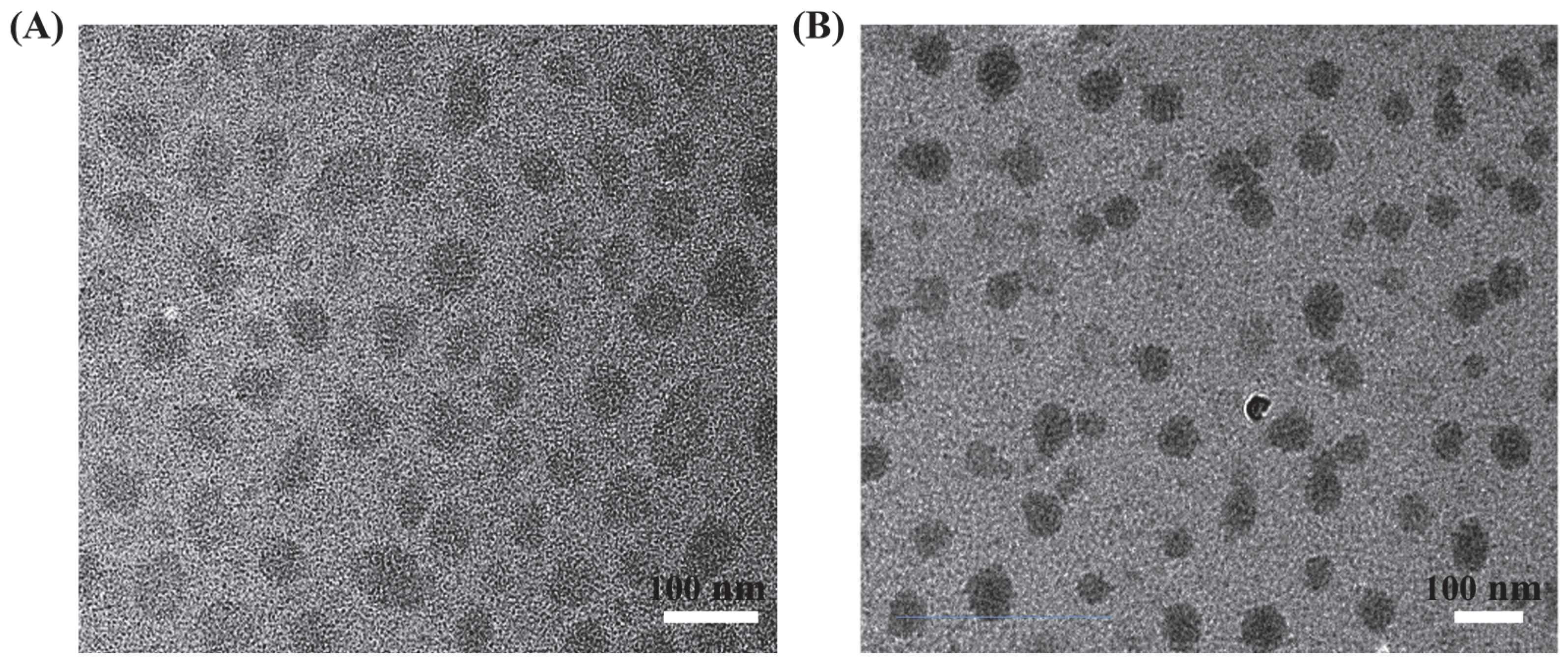 Polymers 14 04451 g005