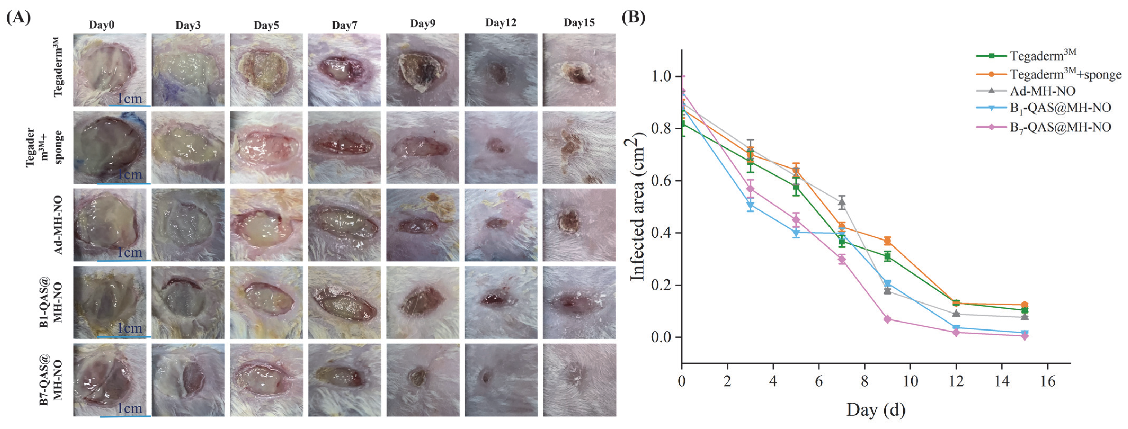 Polymers 14 04451 g009