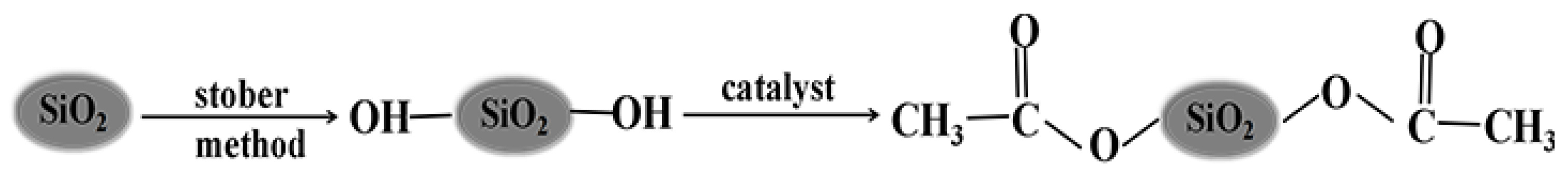 Polymers 14 04453 g001