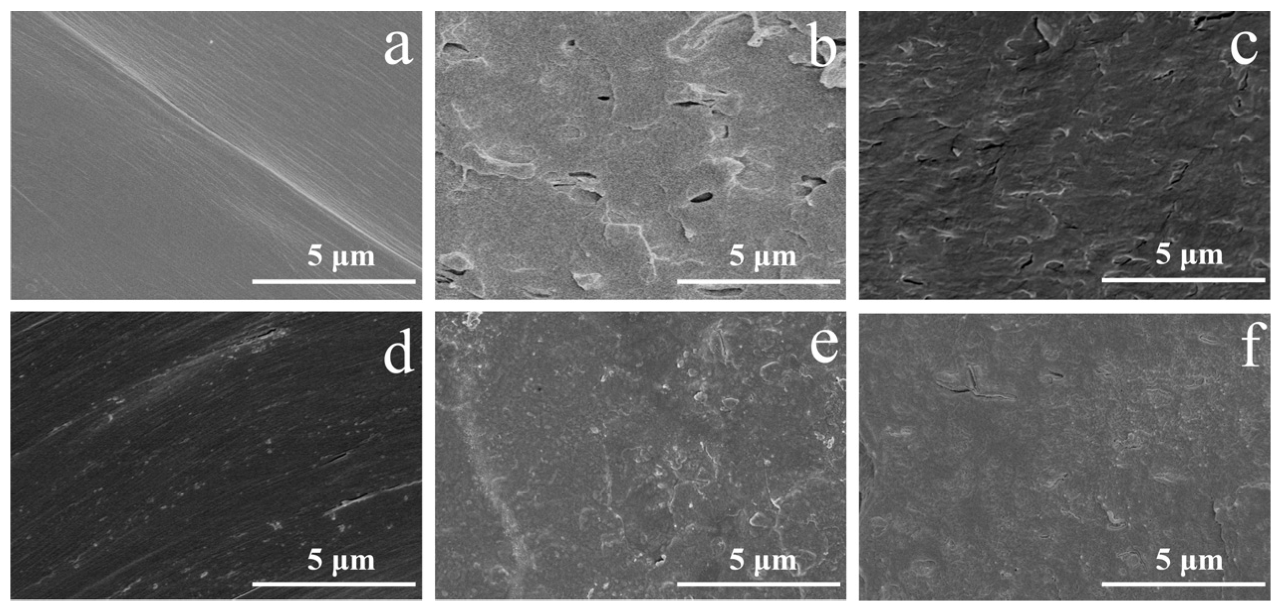Polymers 14 04453 g002
