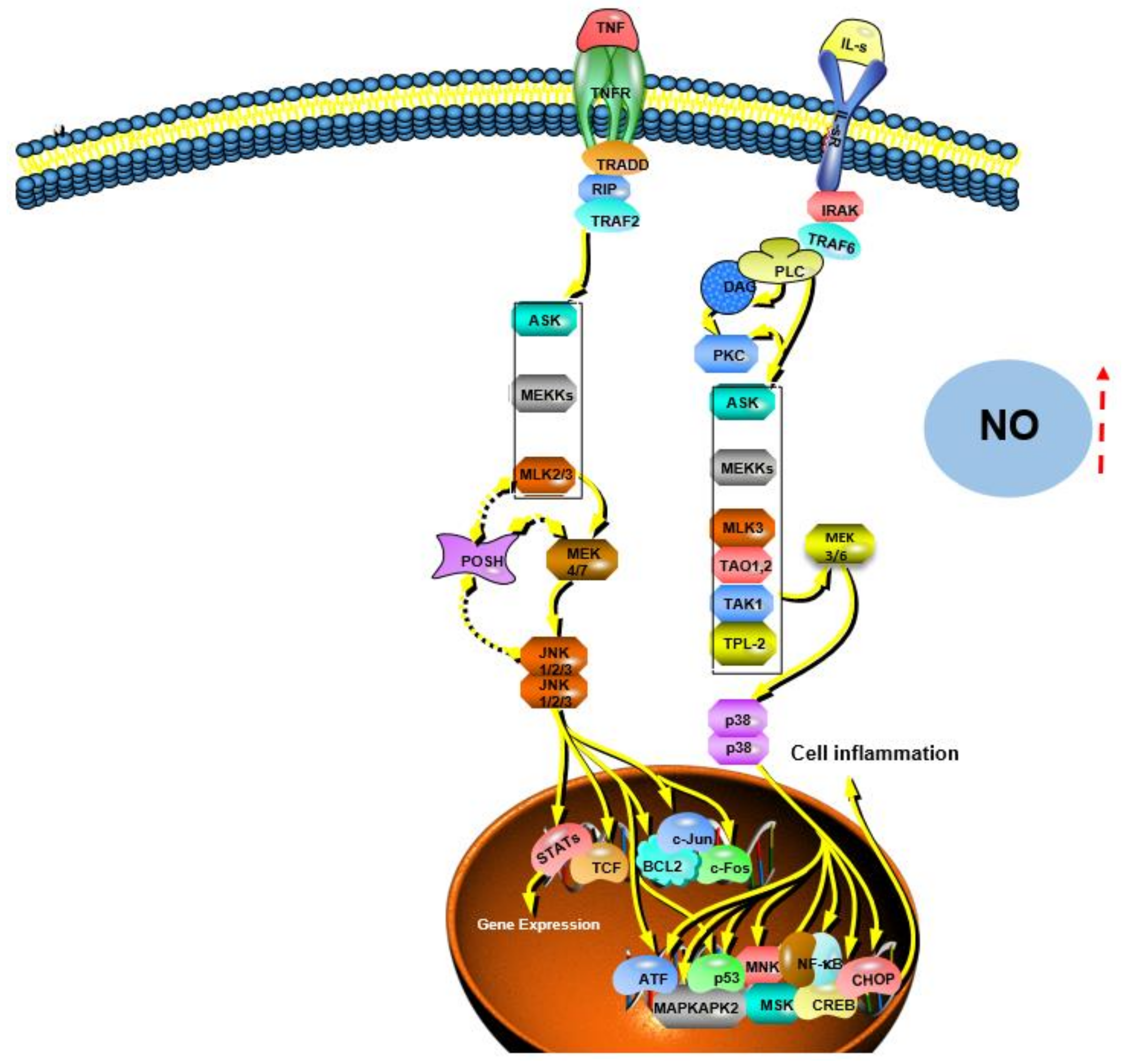 Polymers 14 04454 g010 Polymers 14 04454 g010