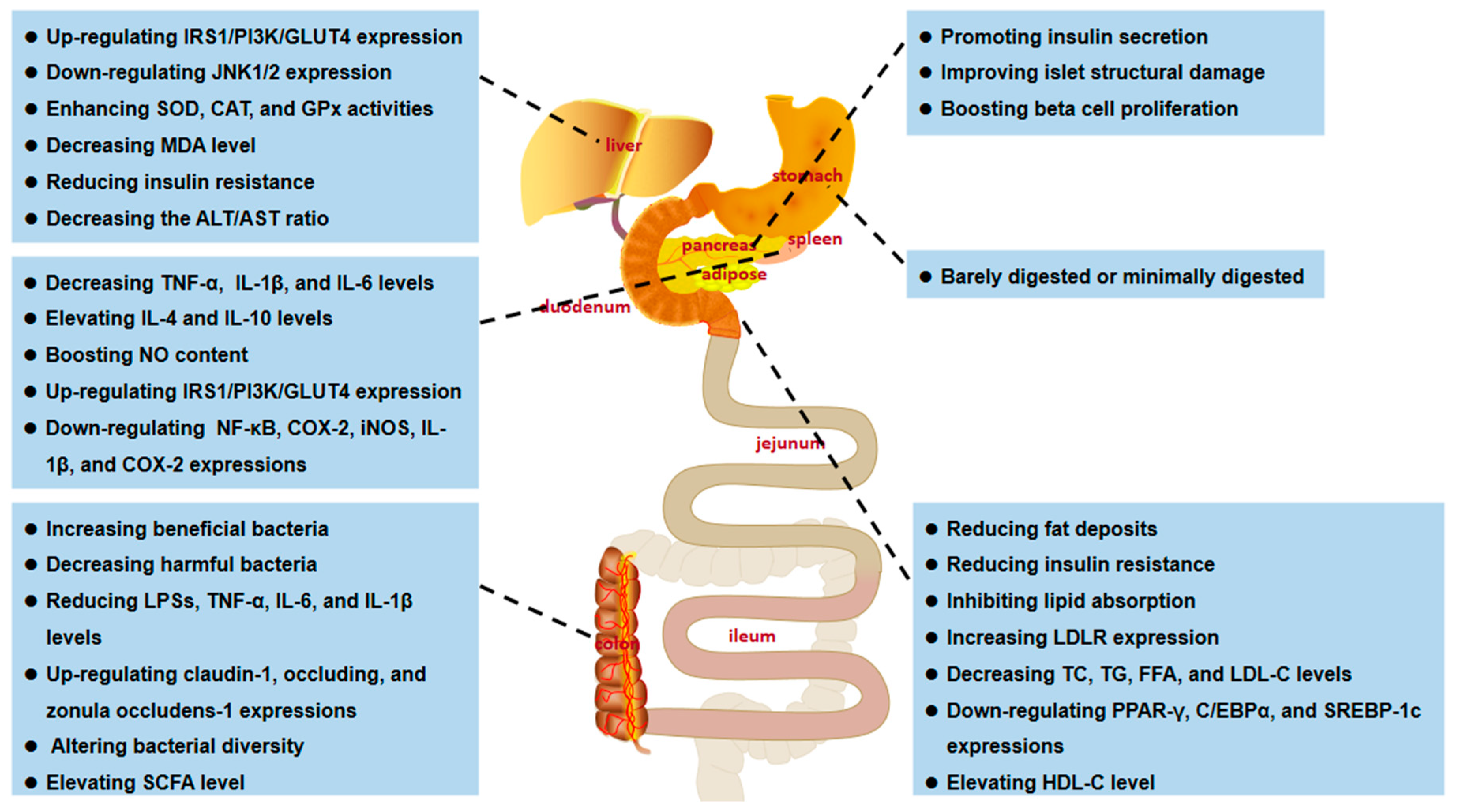 Polymers 14 04454 g012 Polymers 14 04454 g012