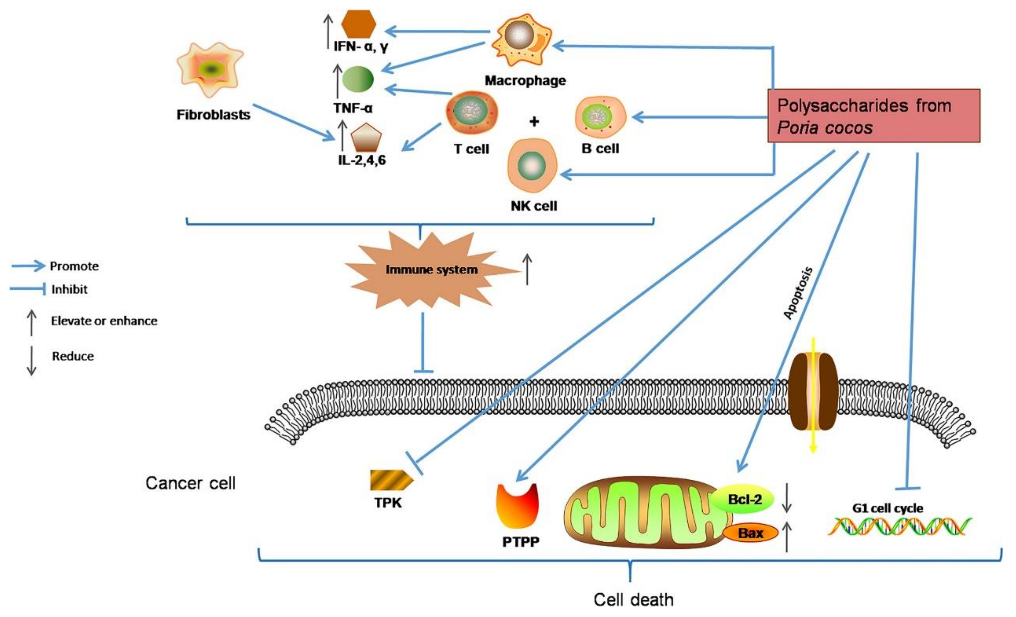 Polymers 14 04454 g013 Polymers 14 04454 g013