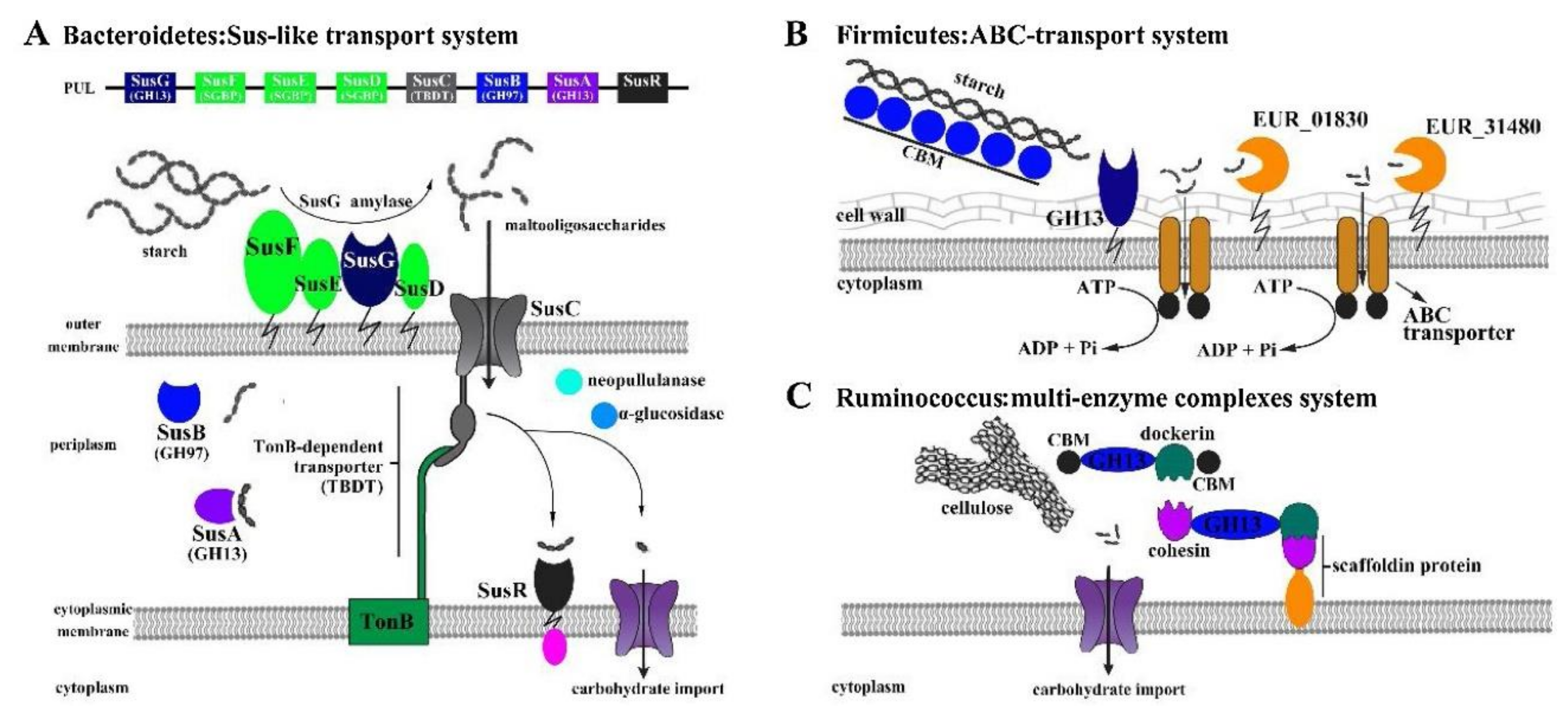Polymers 14 04454 g014 Polymers 14 04454 g014