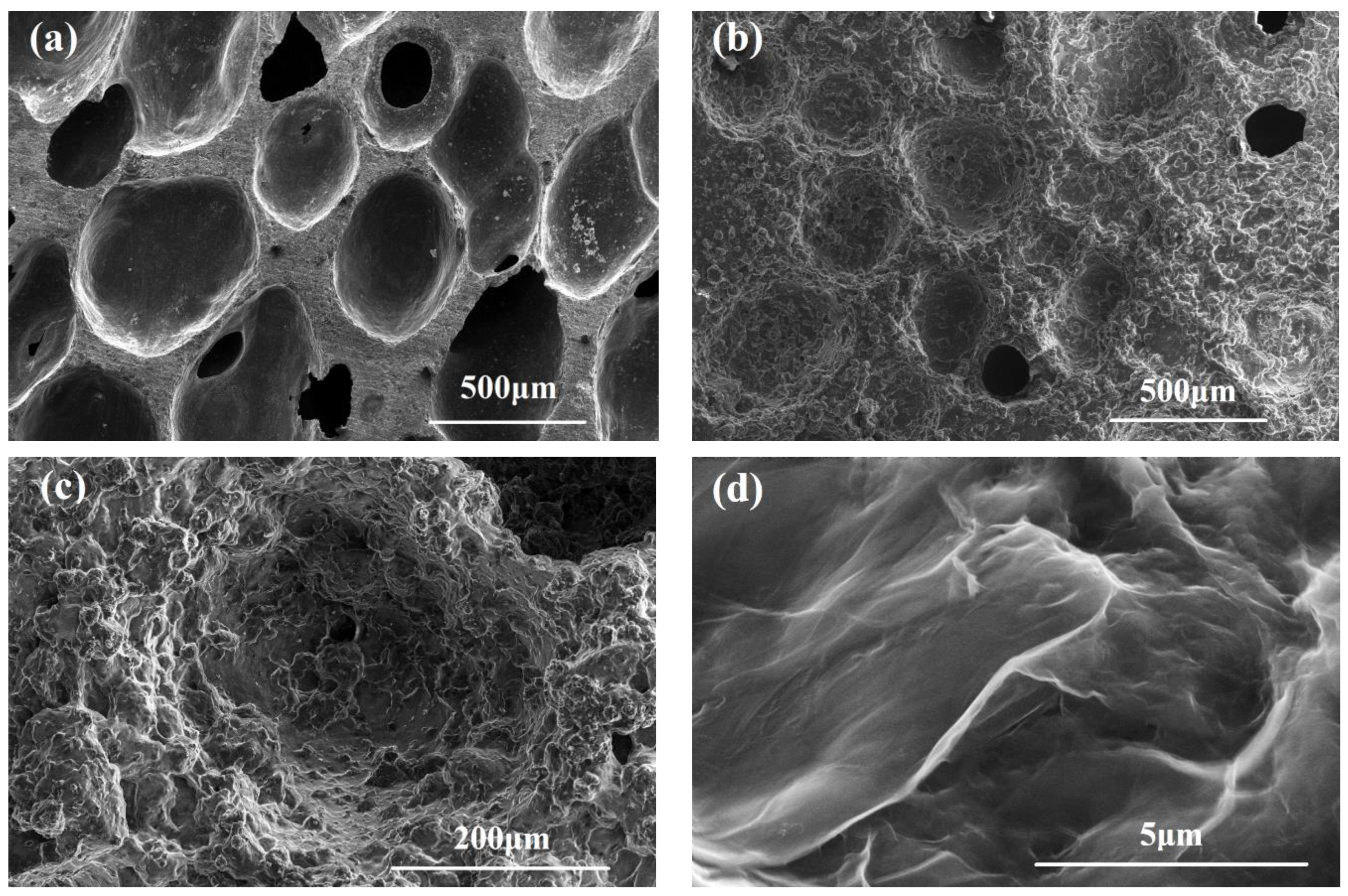 Polymers 14 04455 g002