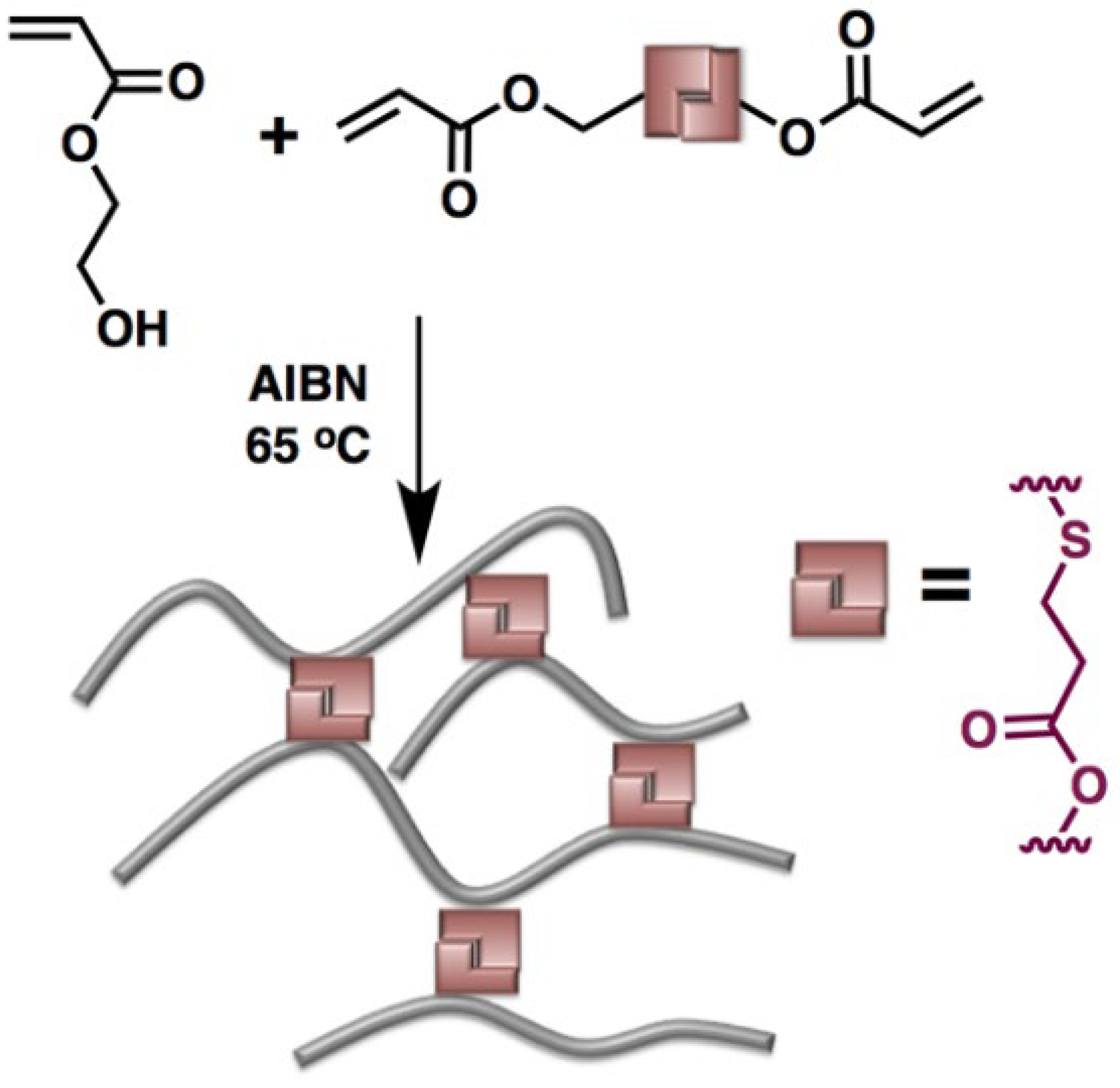 Polymers 14 04457 g002