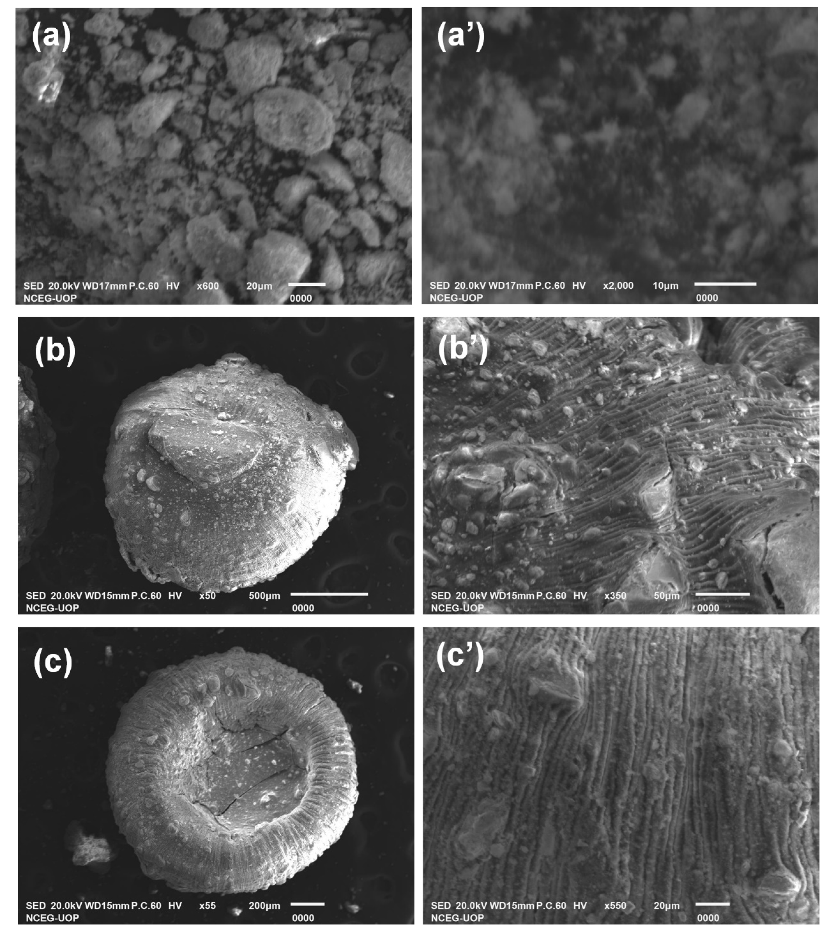 Polymers 14 04458 g001
