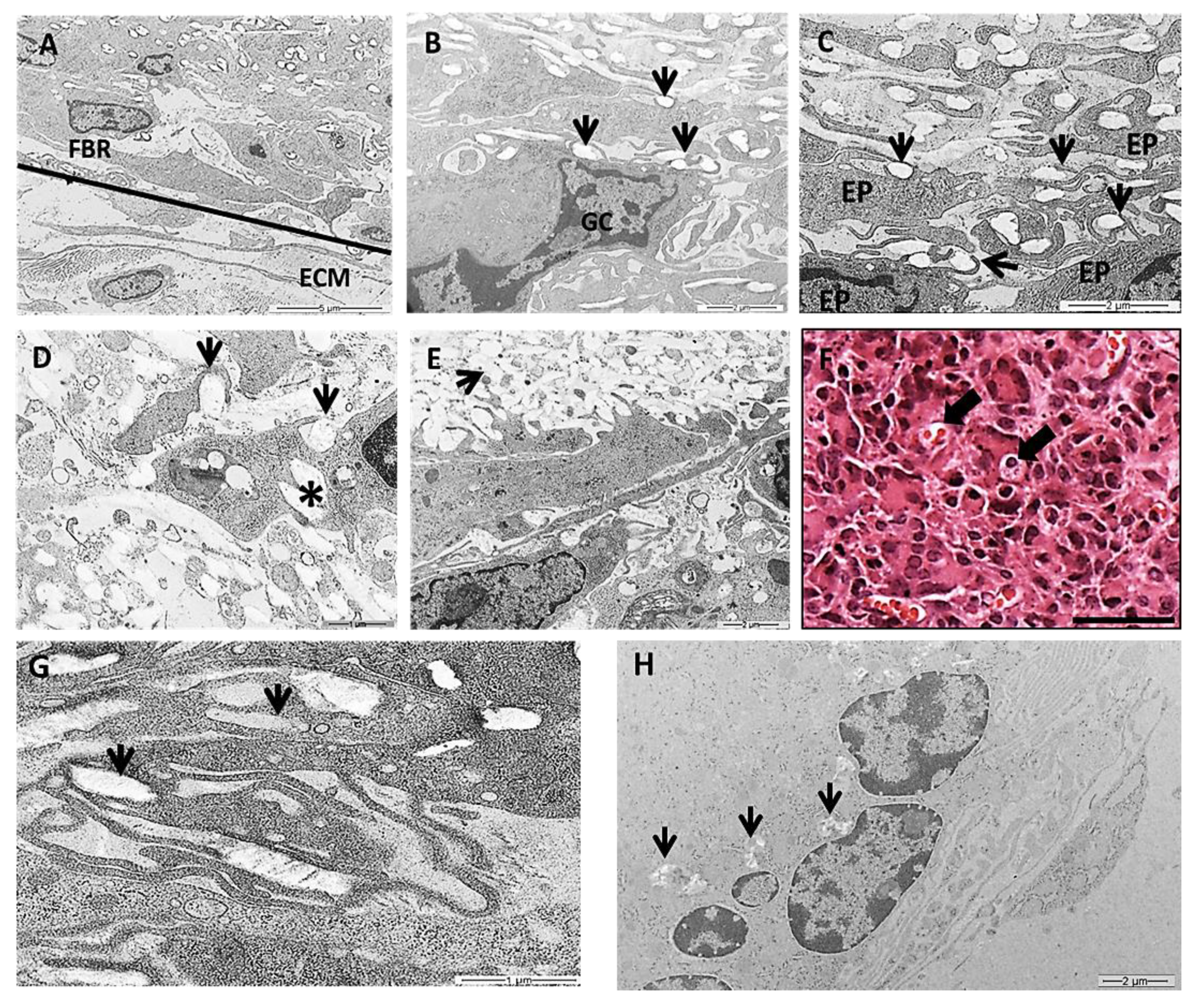 Polymers 14 04460 g006