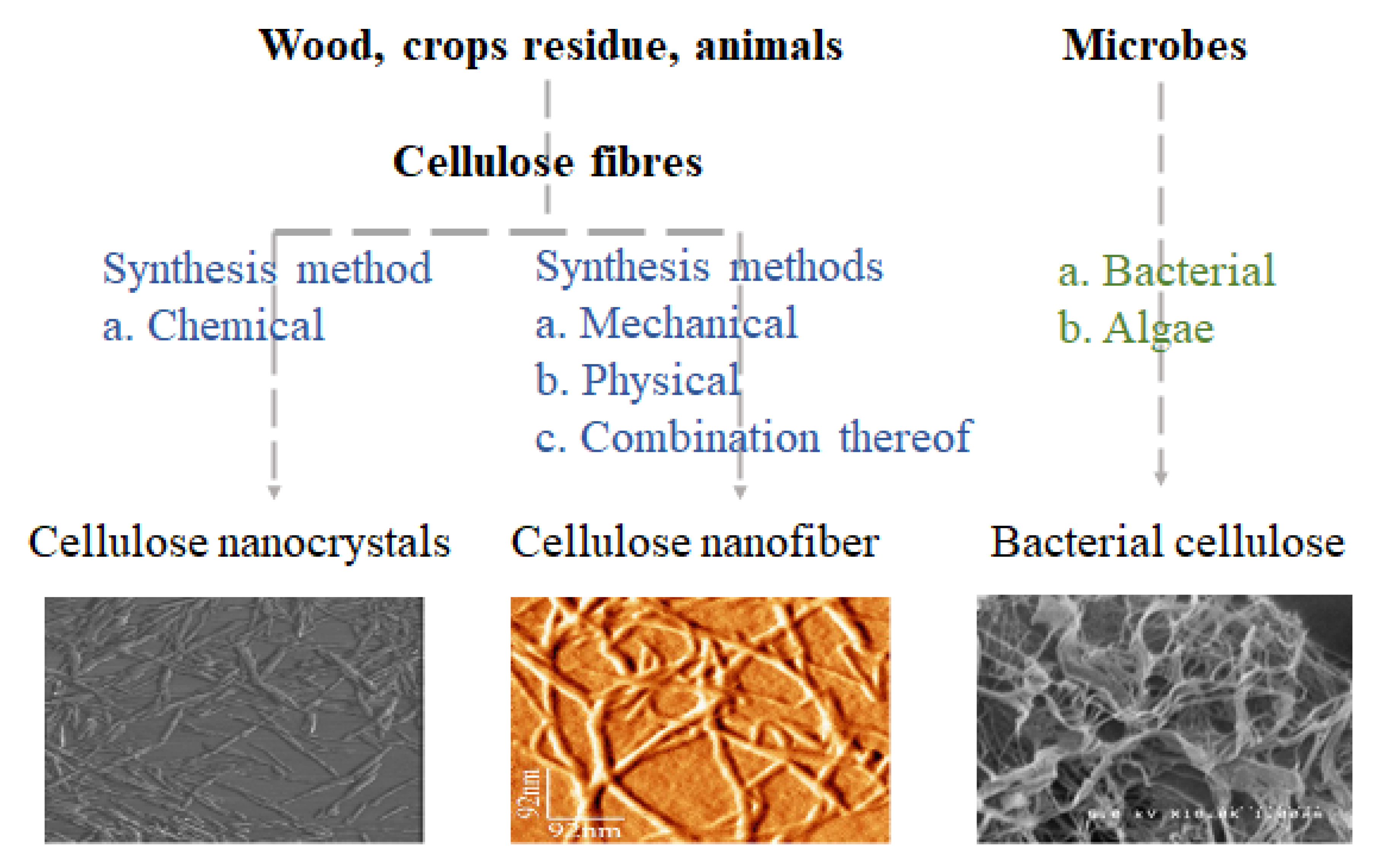 Polymers 14 04461 g004