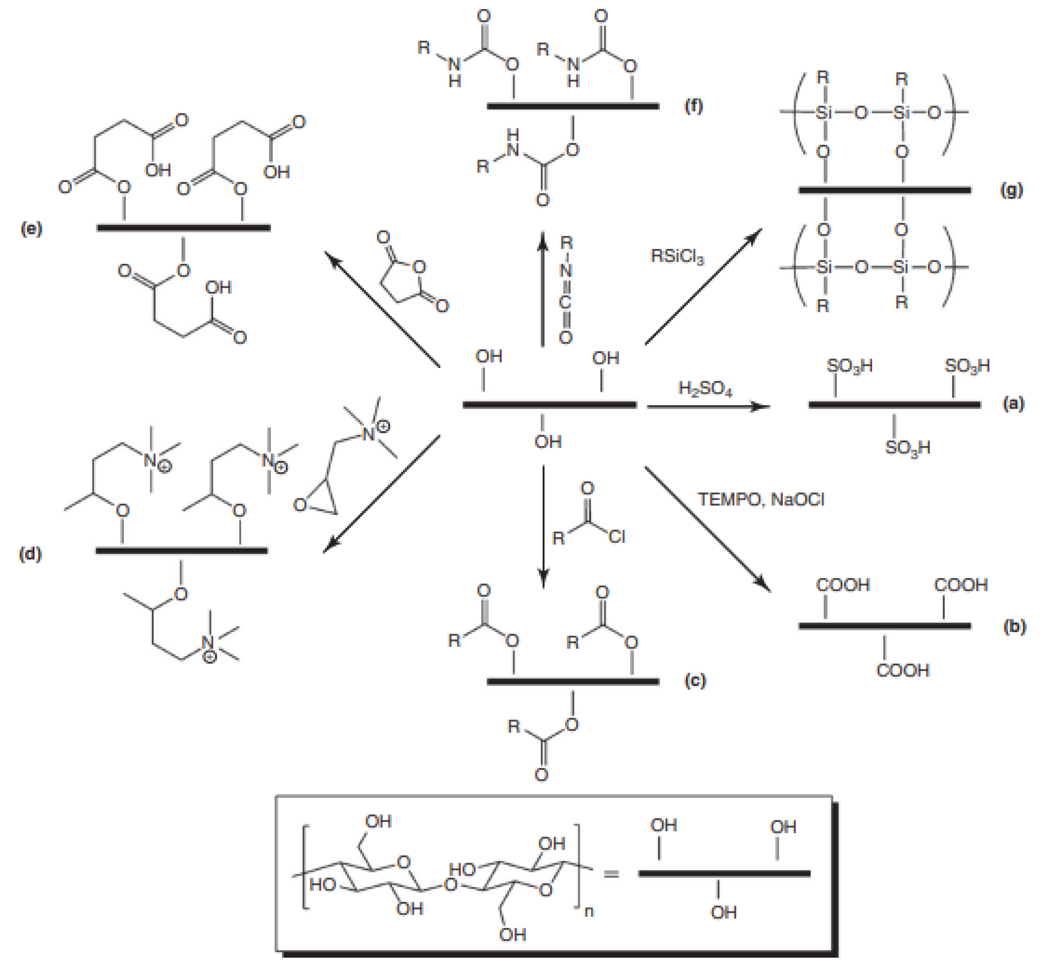 Polymers 14 04461 g005