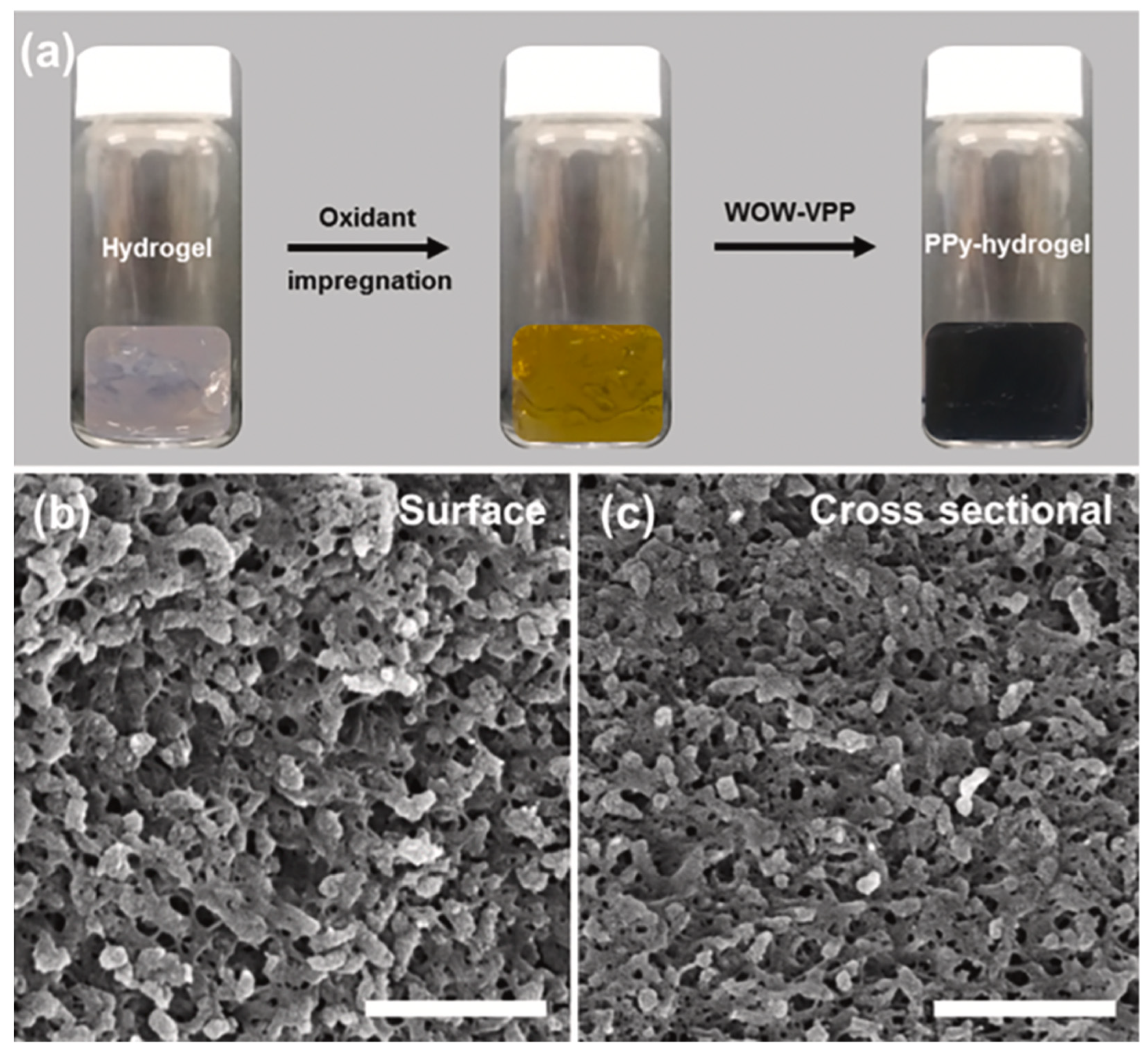 Polymers 14 04461 g008