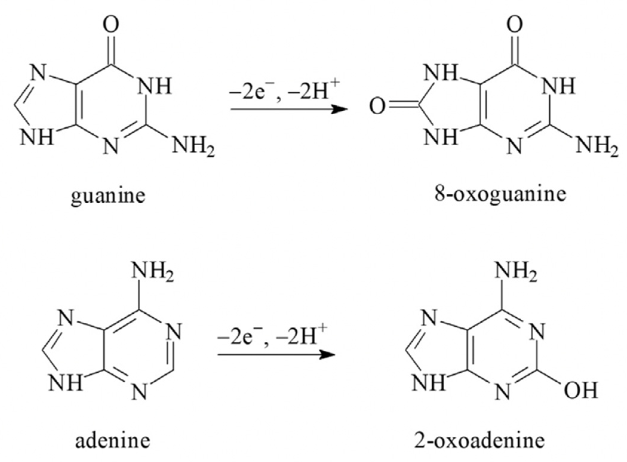 Polymers 14 04461 sch001