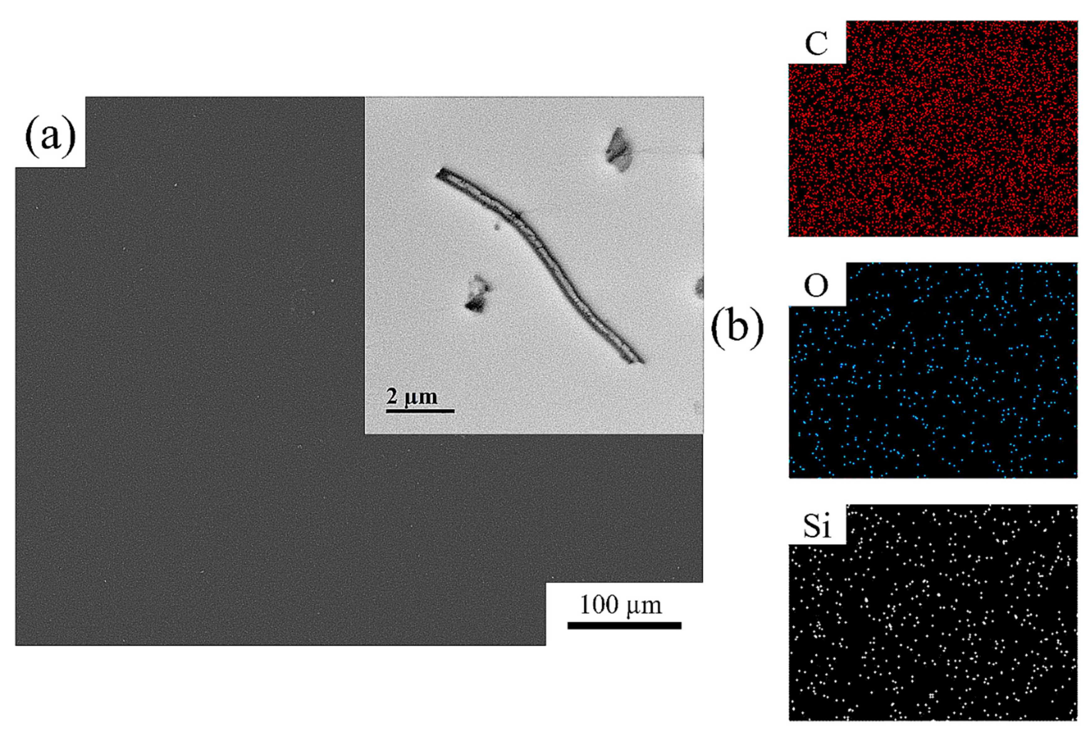 Polymers 14 04462 g002