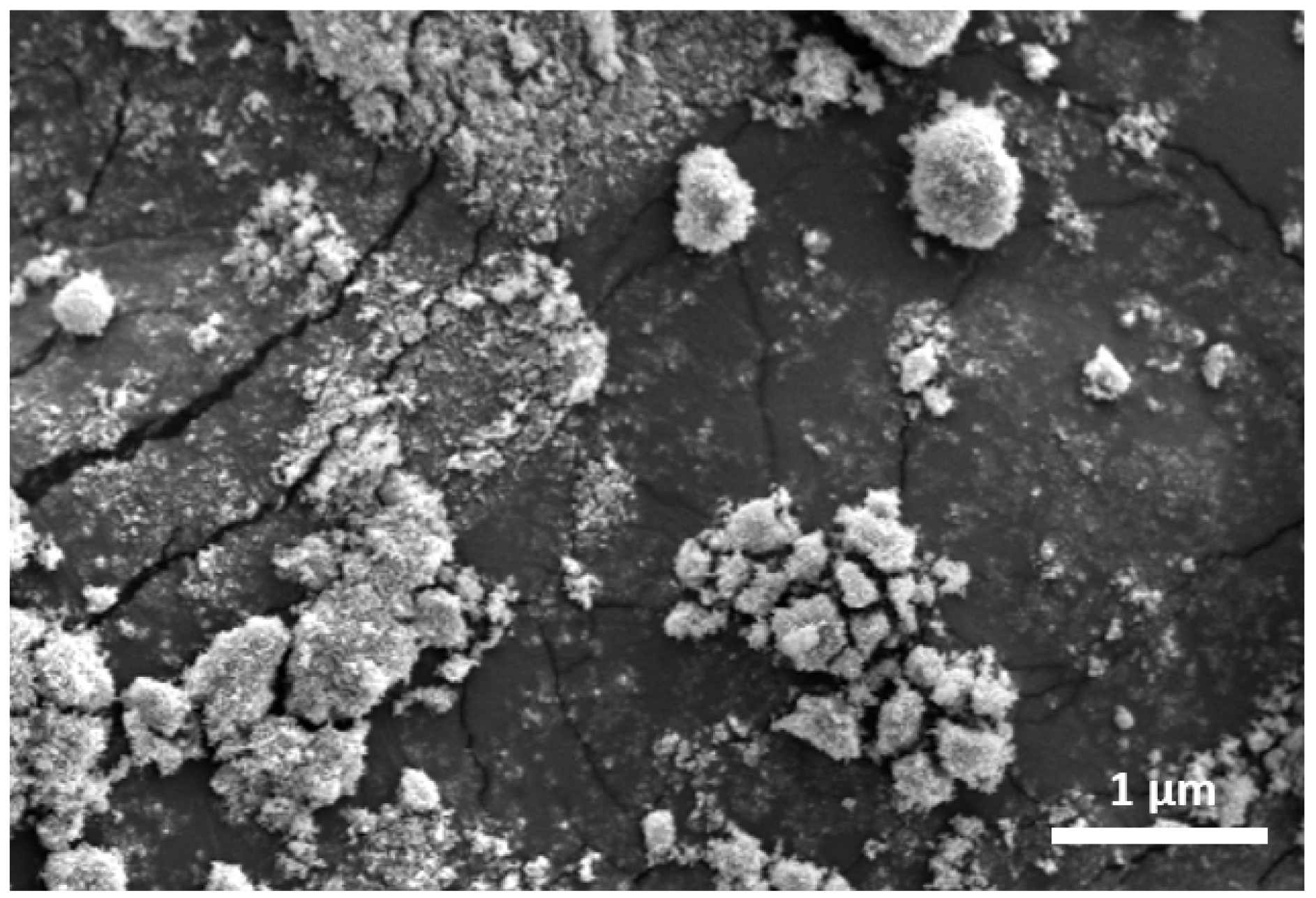 Polymers 14 04463 g001