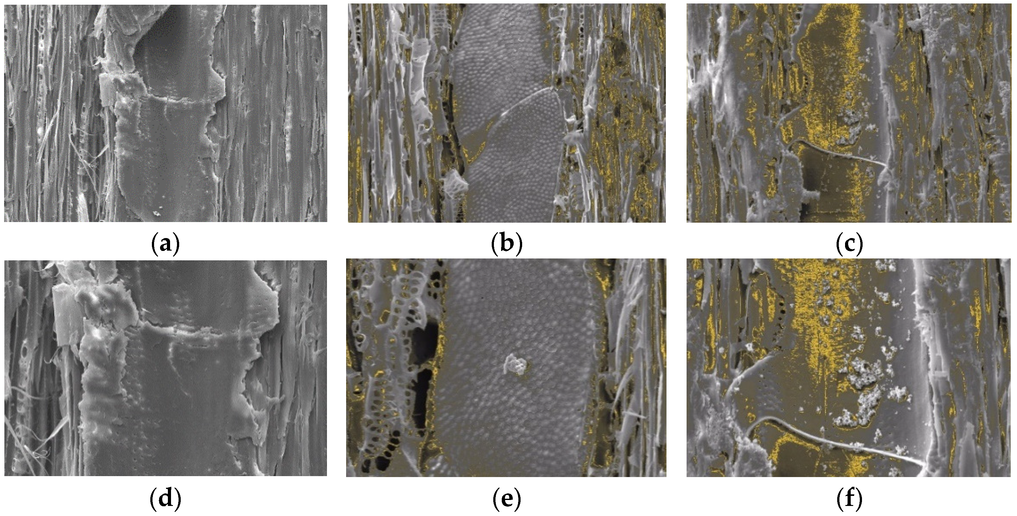 Polymers 14 04463 g007