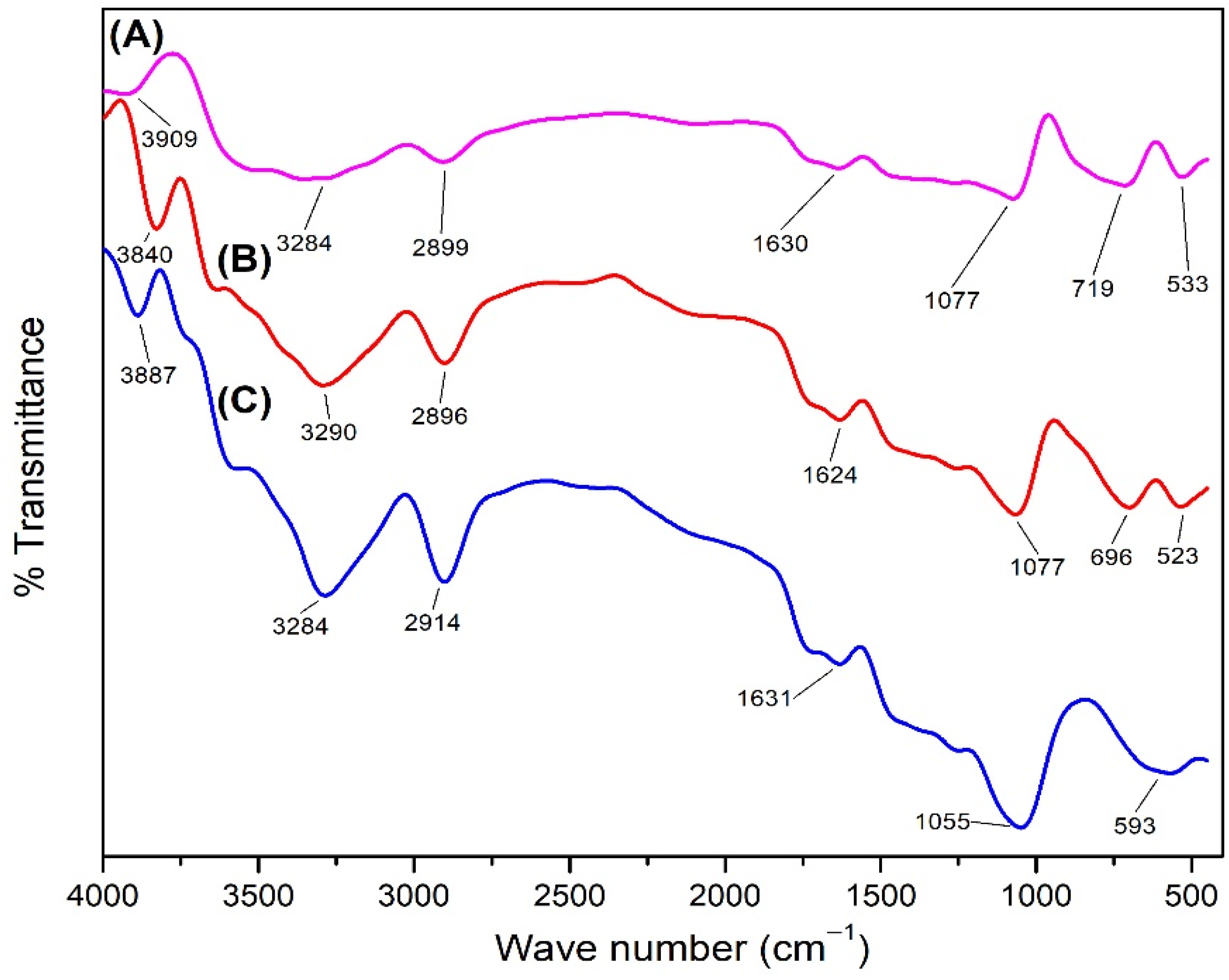 Polymers 14 04463 g012