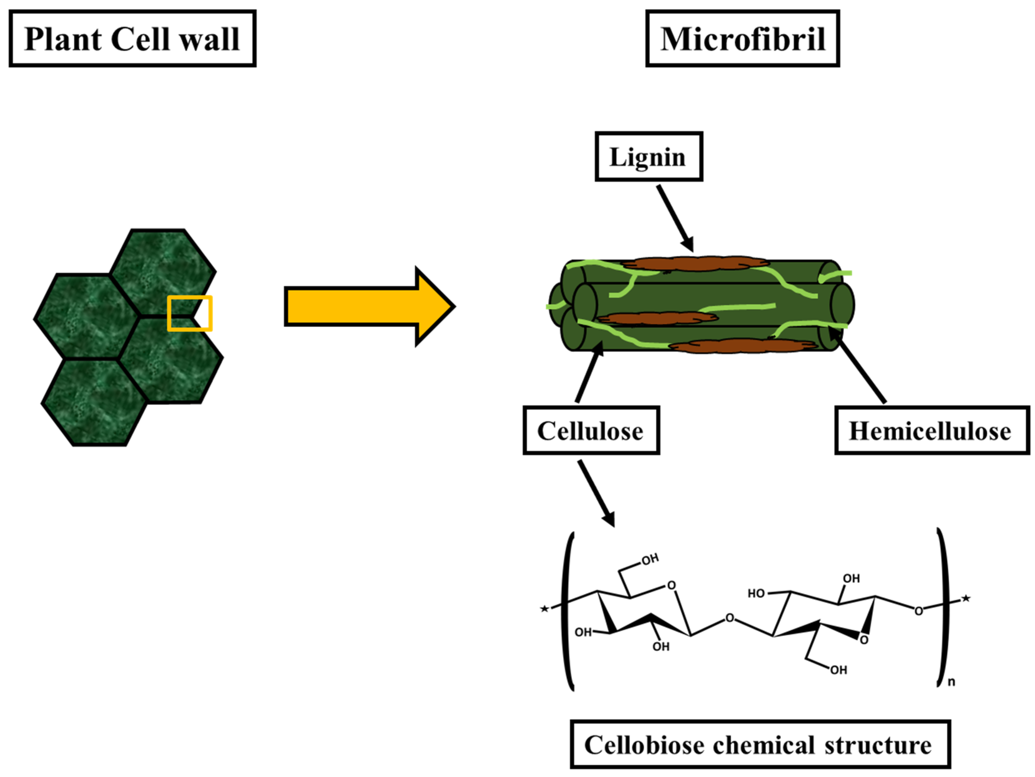Polymers 14 04468 g001 Polymers 14 04468 g001