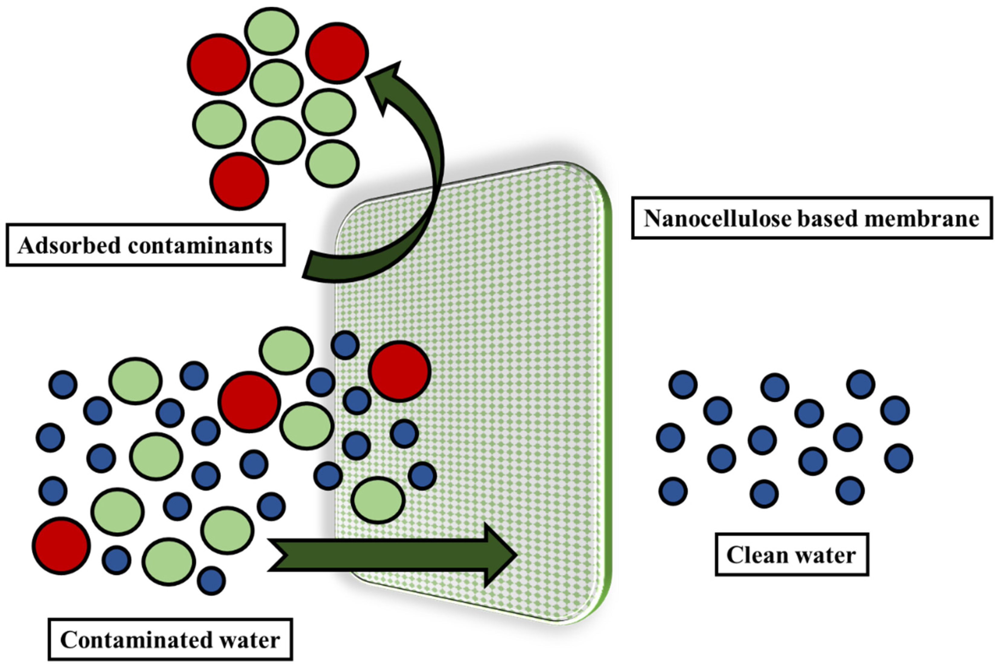 Polymers 14 04468 g010 Polymers 14 04468 g010
