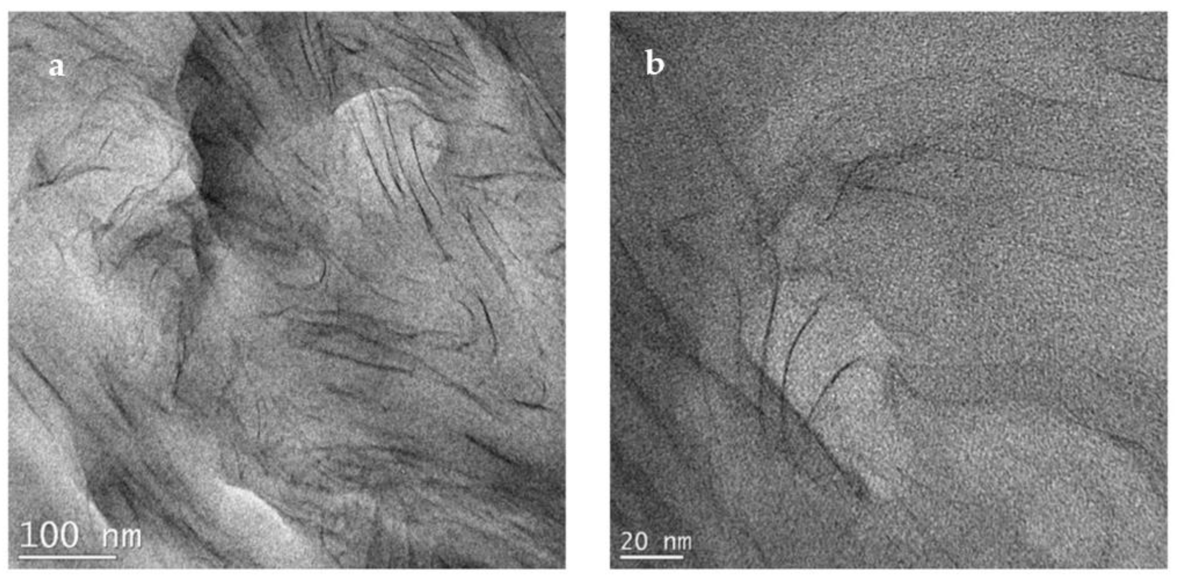 Polymers 14 04471 g009 Polymers 14 04471 g009