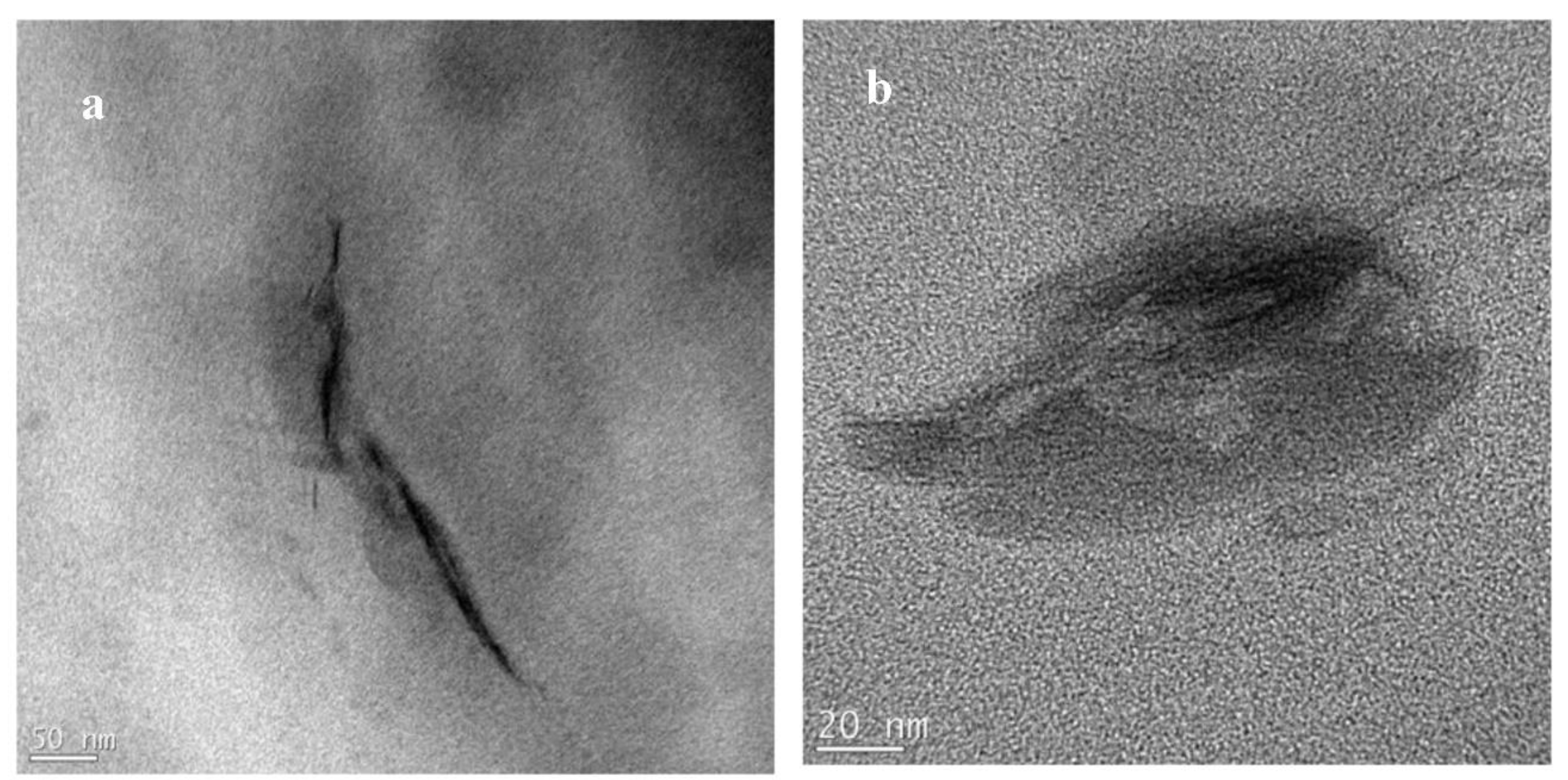 Polymers 14 04471 g011 Polymers 14 04471 g011