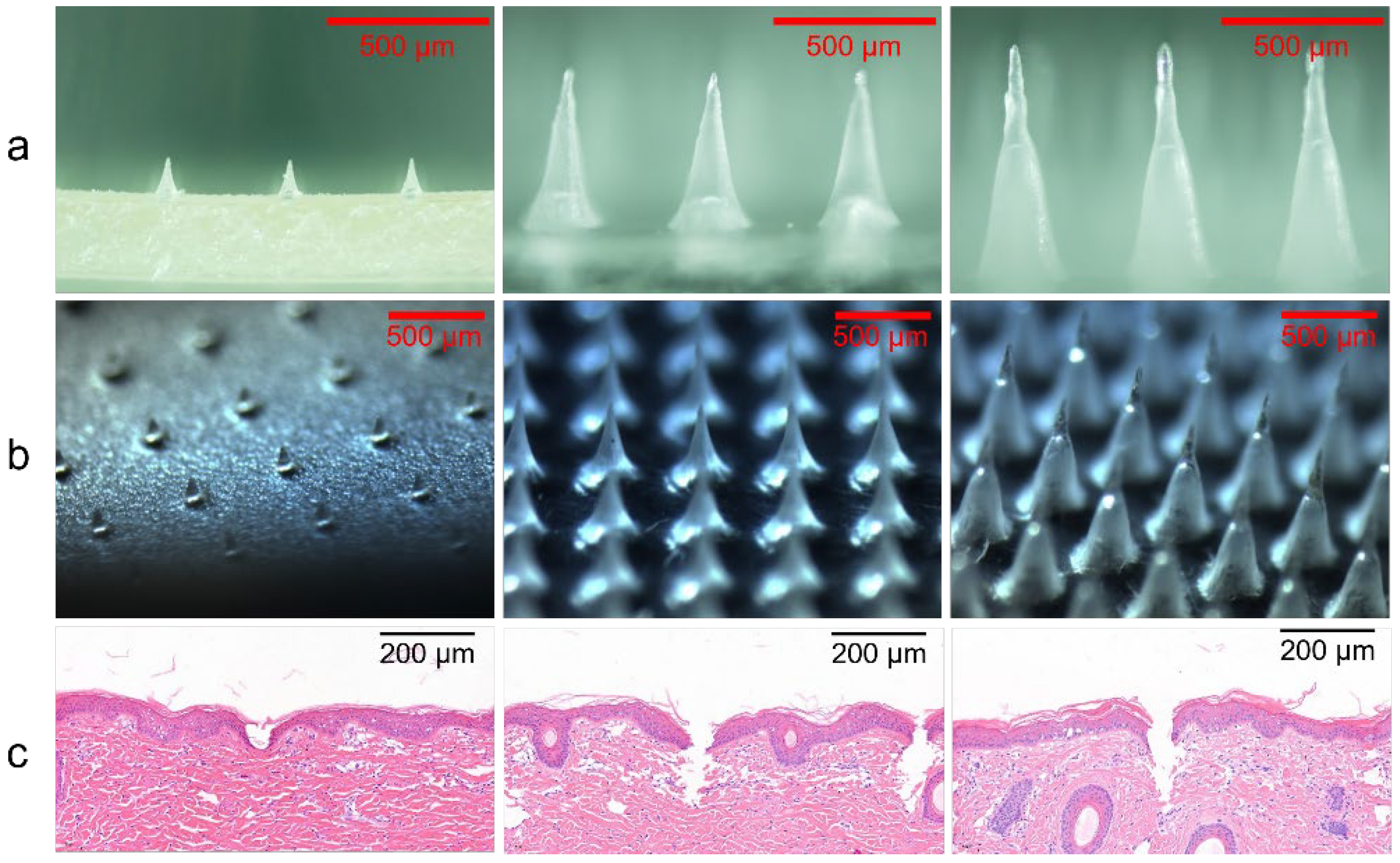 Polymers 14 04475 g001