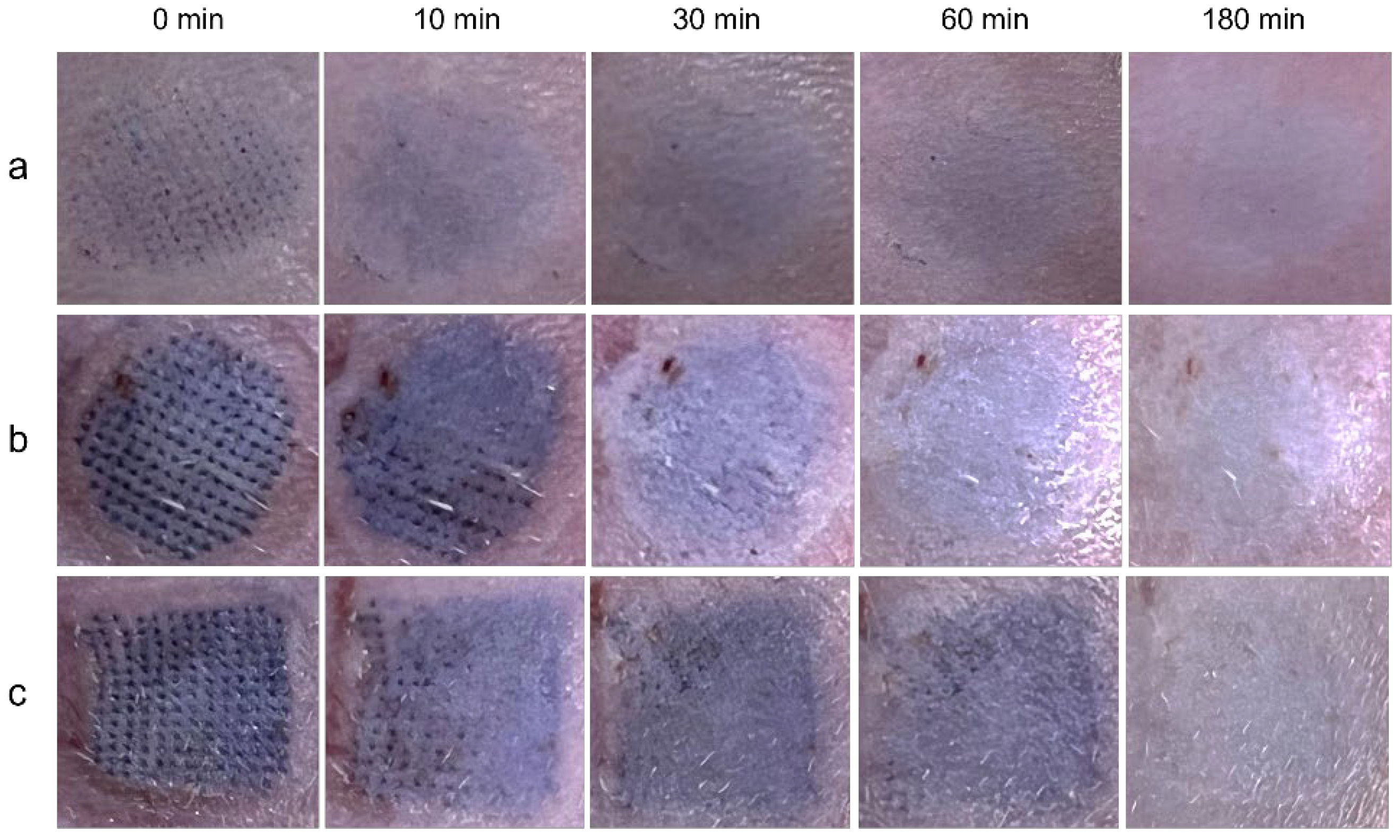 Polymers 14 04475 g002