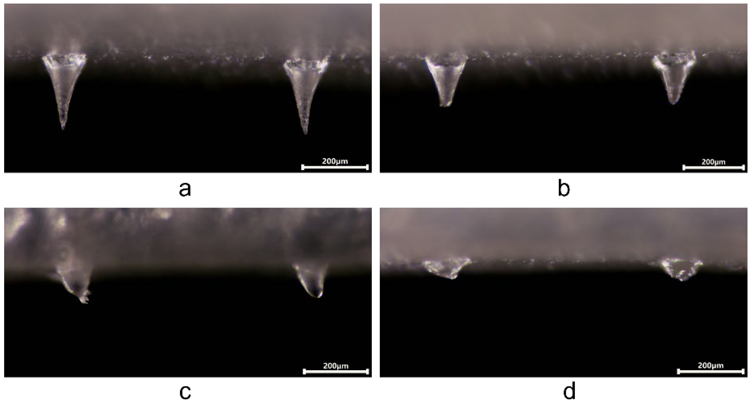 Polymers 14 04475 g003
