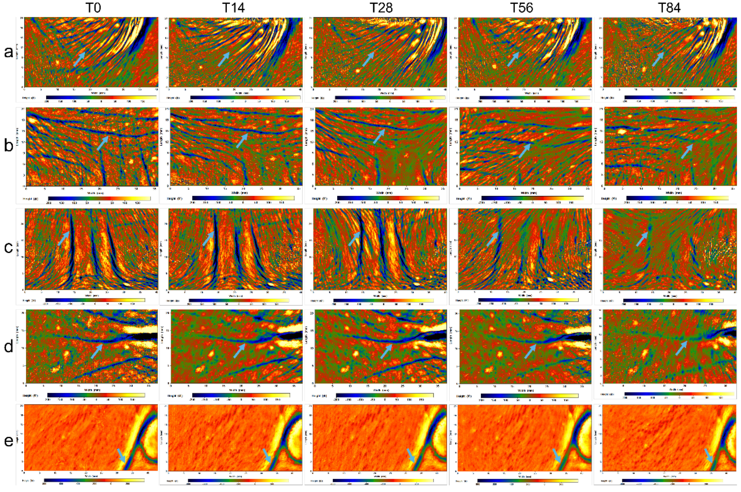 Polymers 14 04475 g006